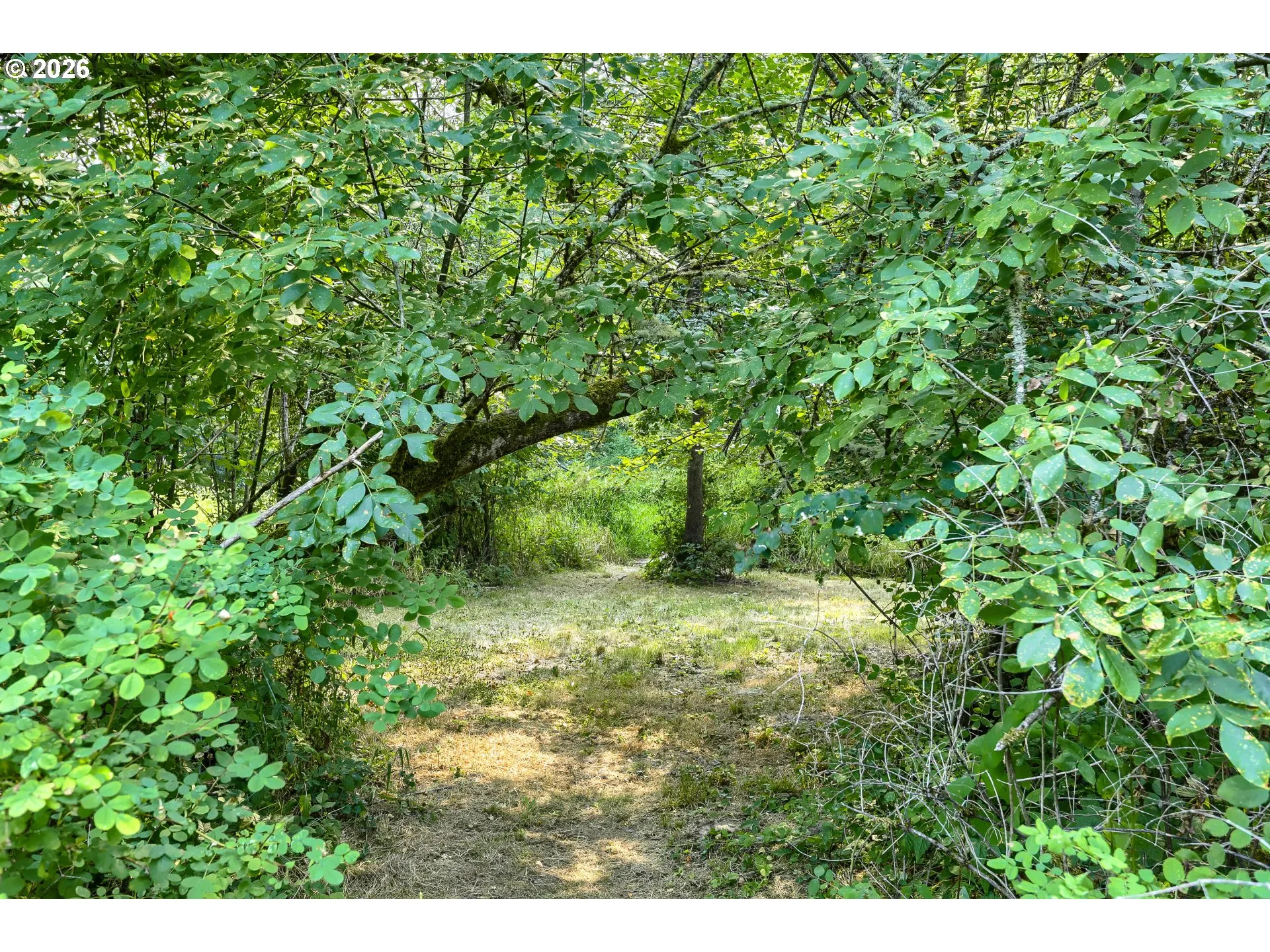 Acreage