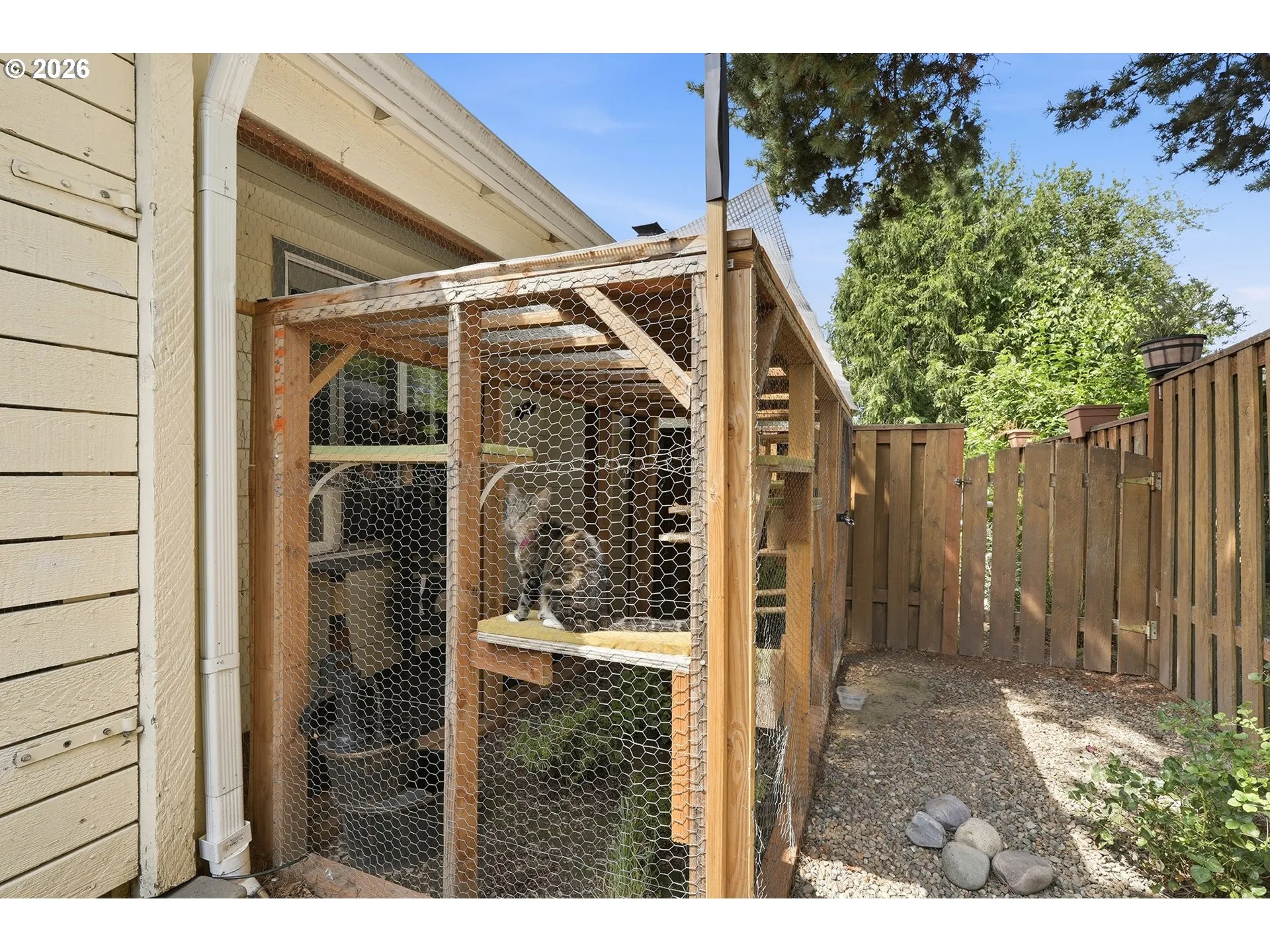 Backyard-Fenced