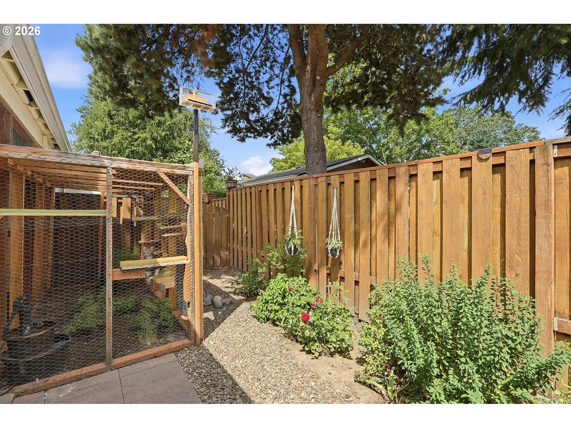 Backyard-Fenced