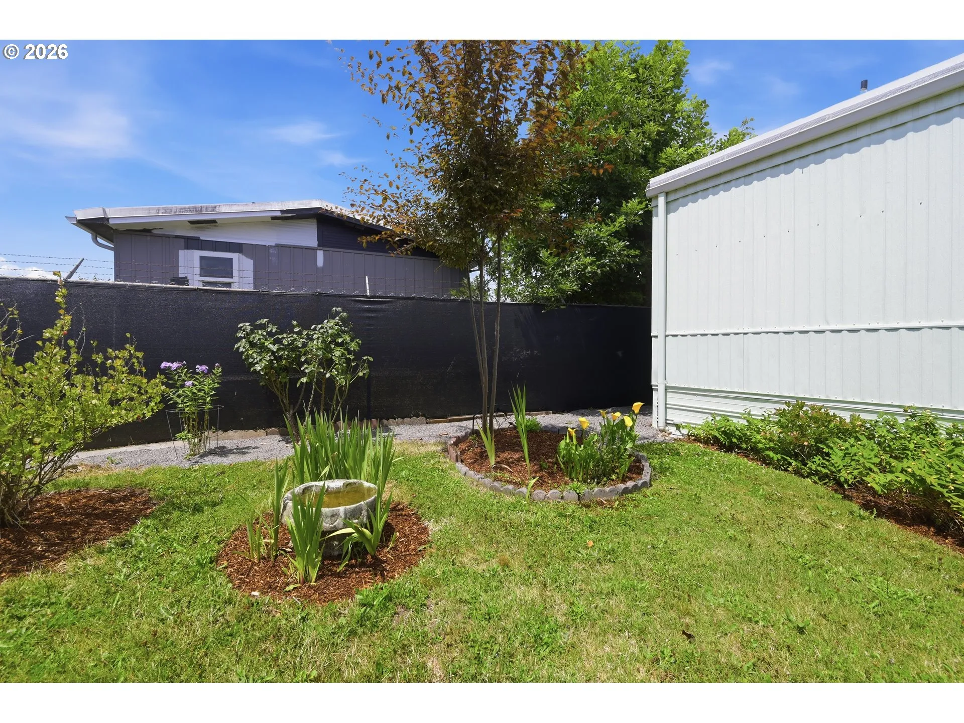 Yard-Landscaped