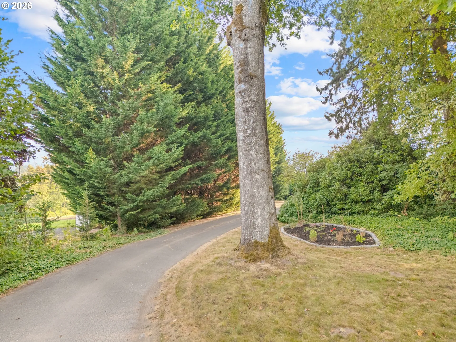 Driveway