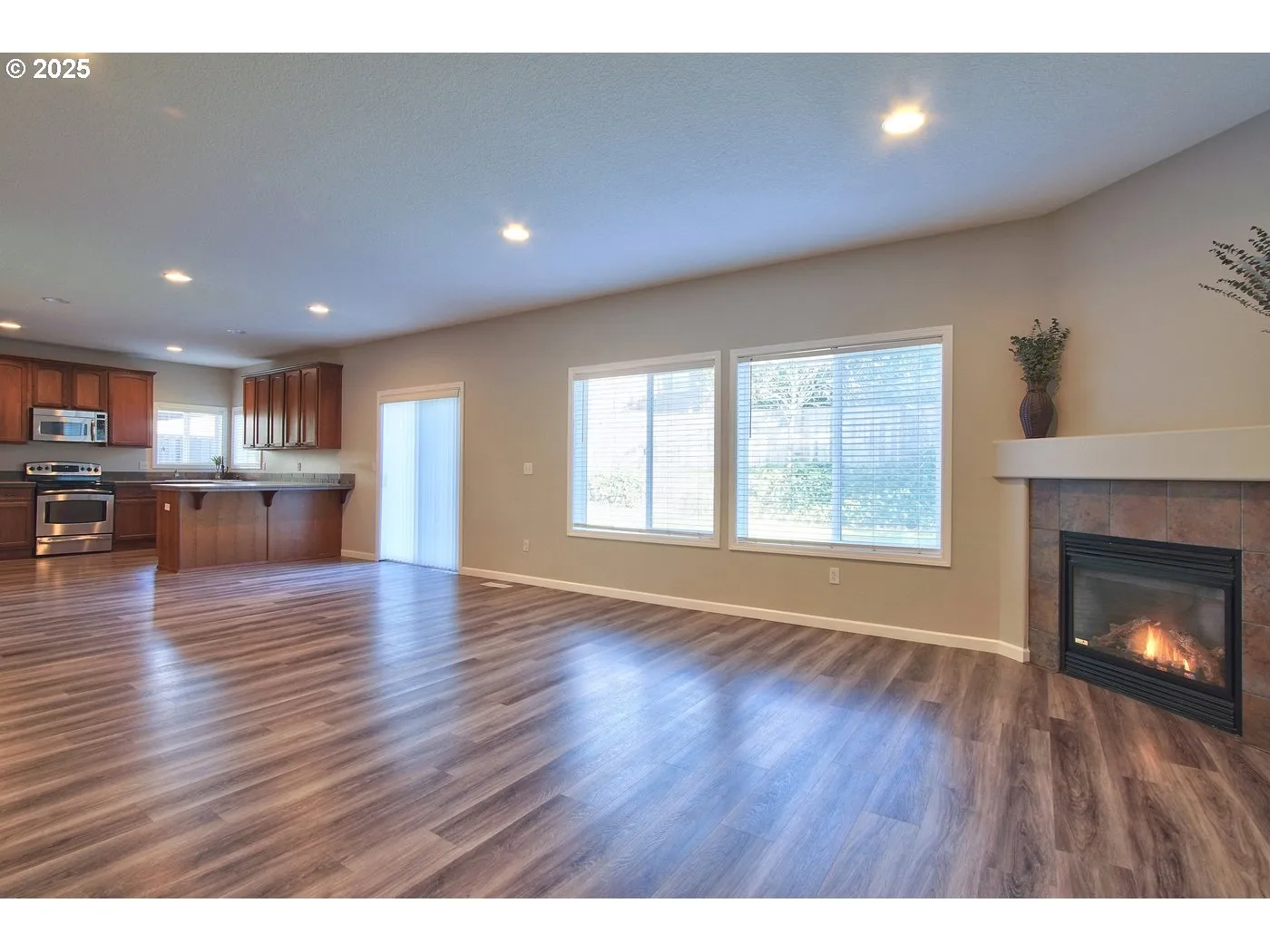 Living Room-Fireplace