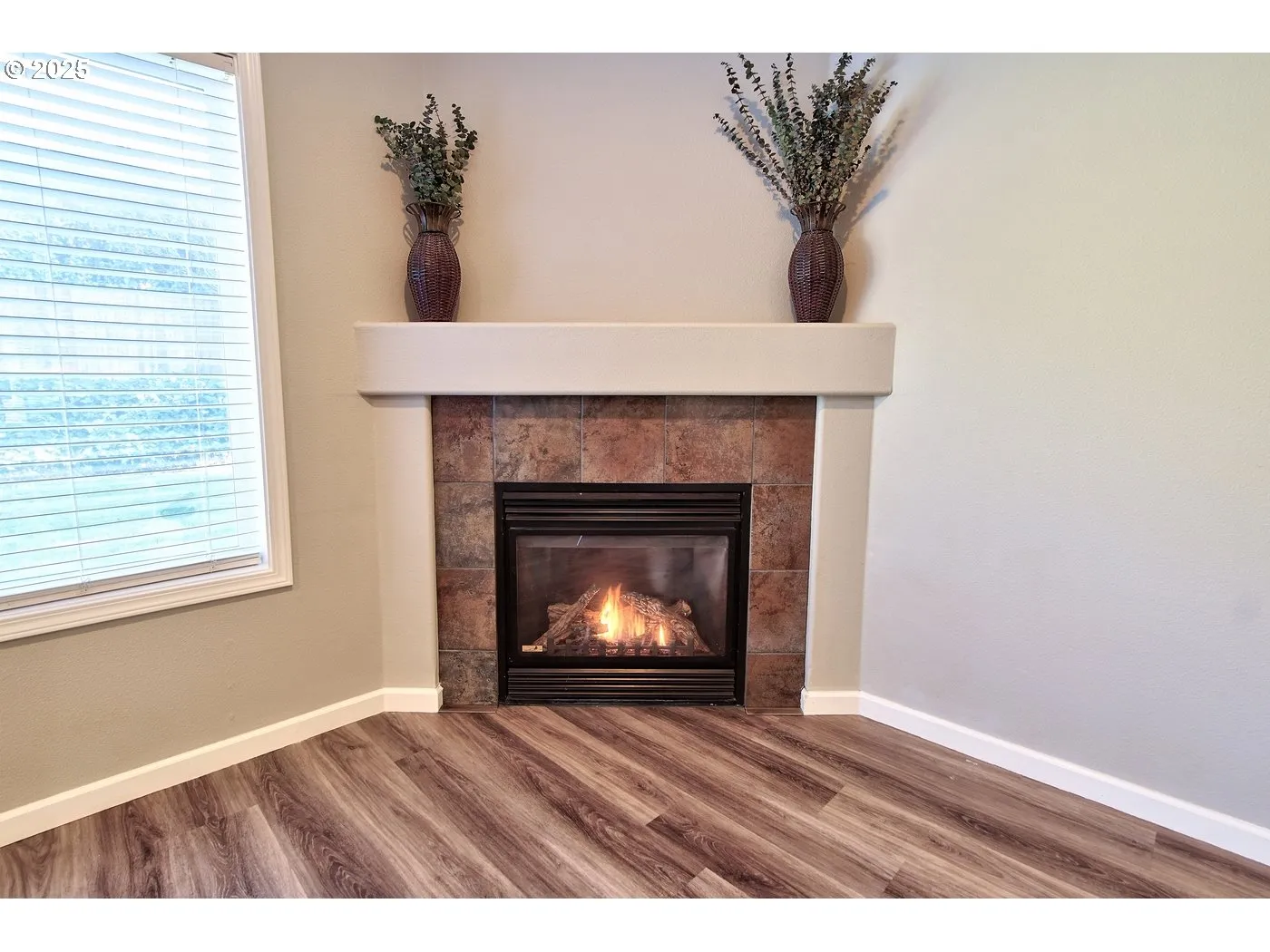 Fireplace Gas