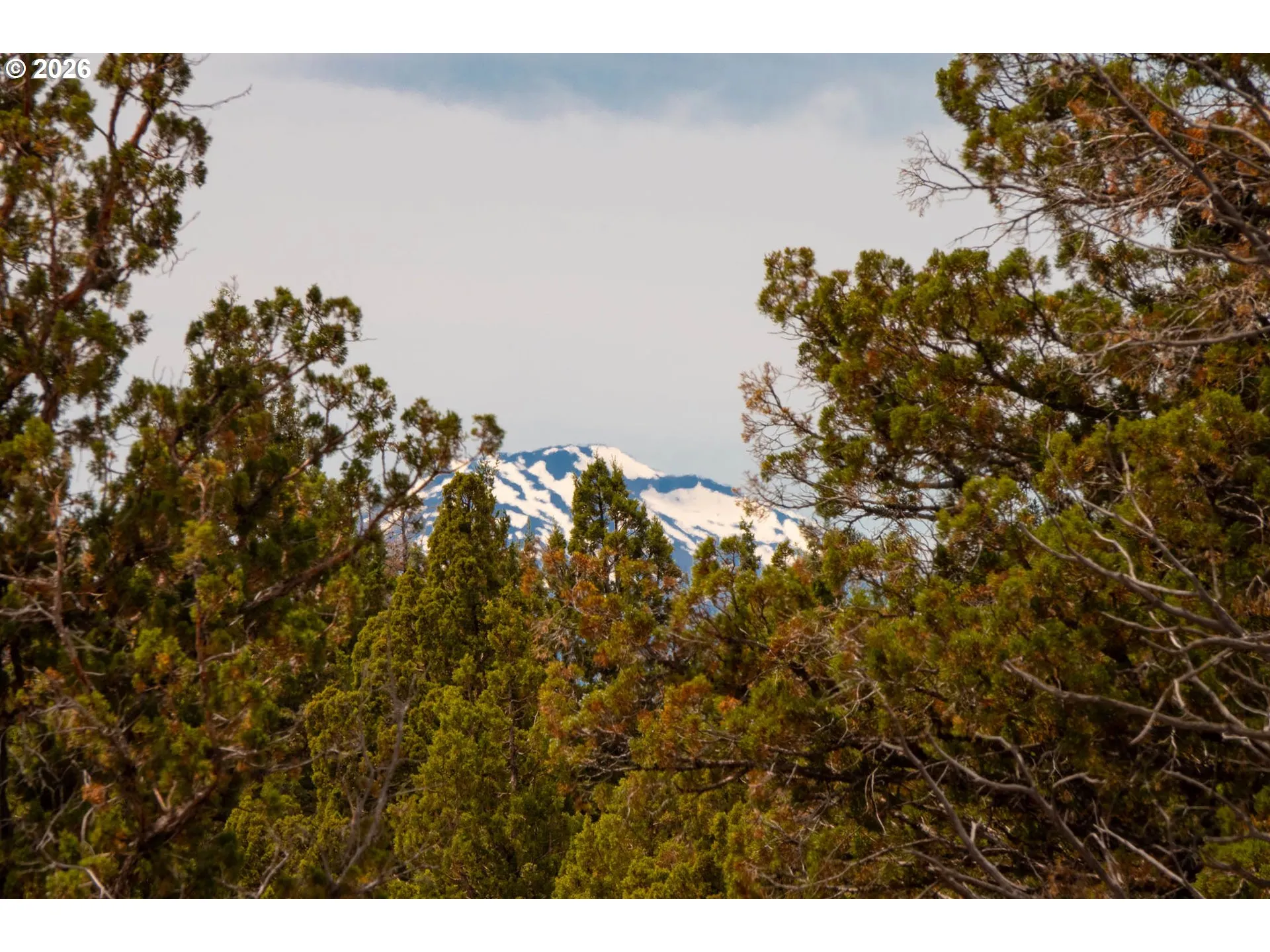 View-Mountain