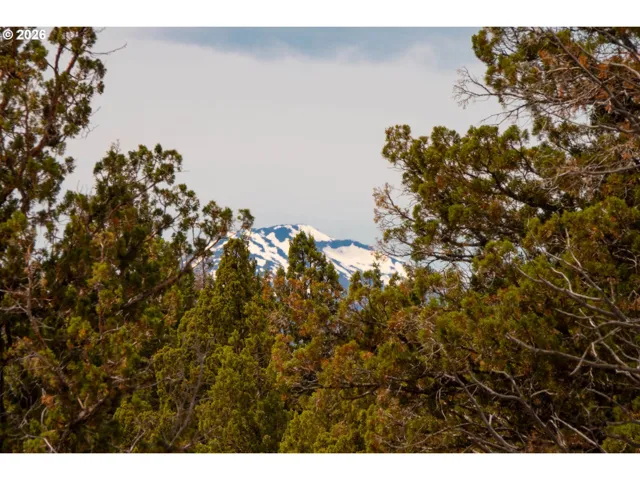 View-Mountain
