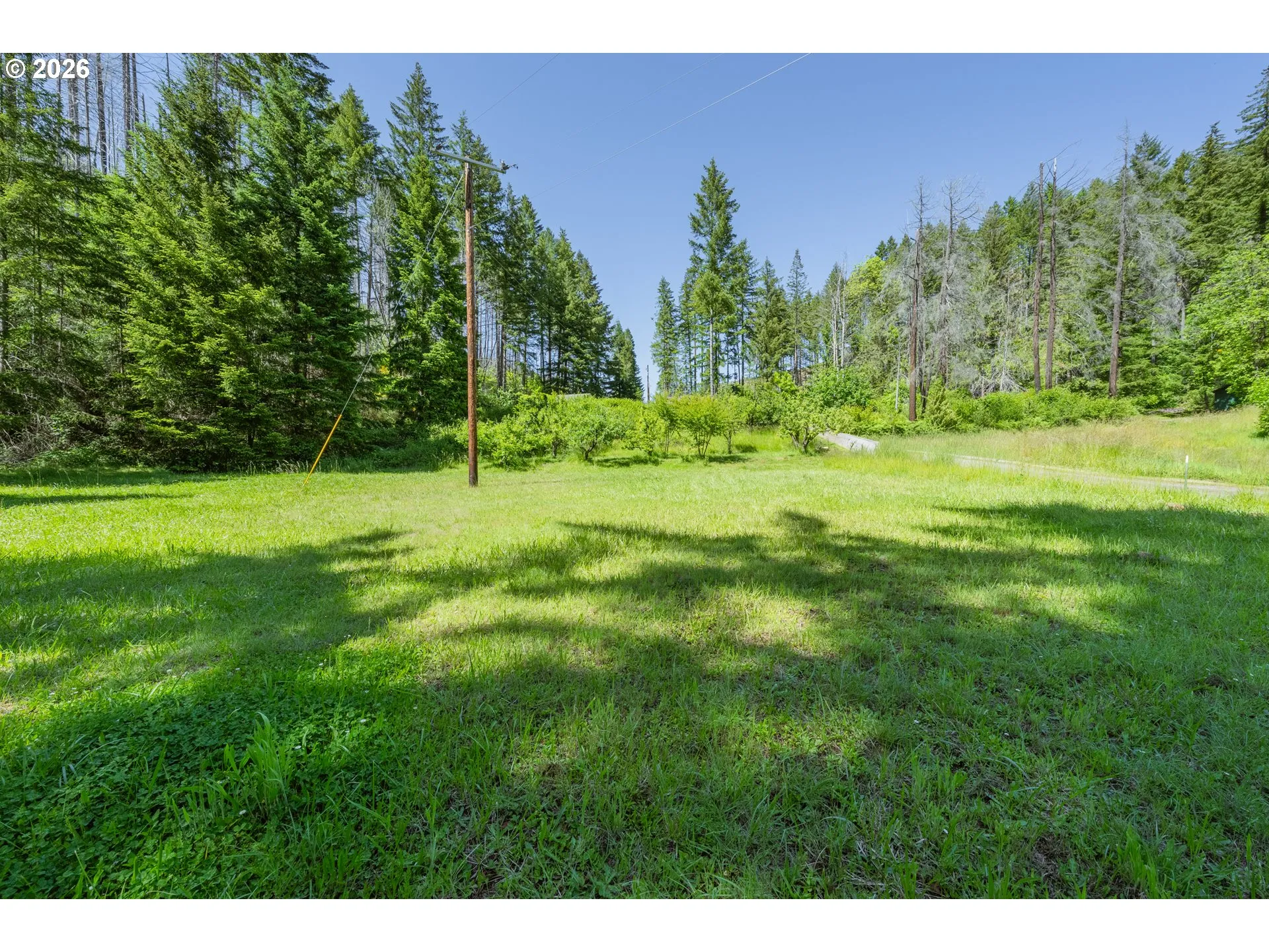 Pasture