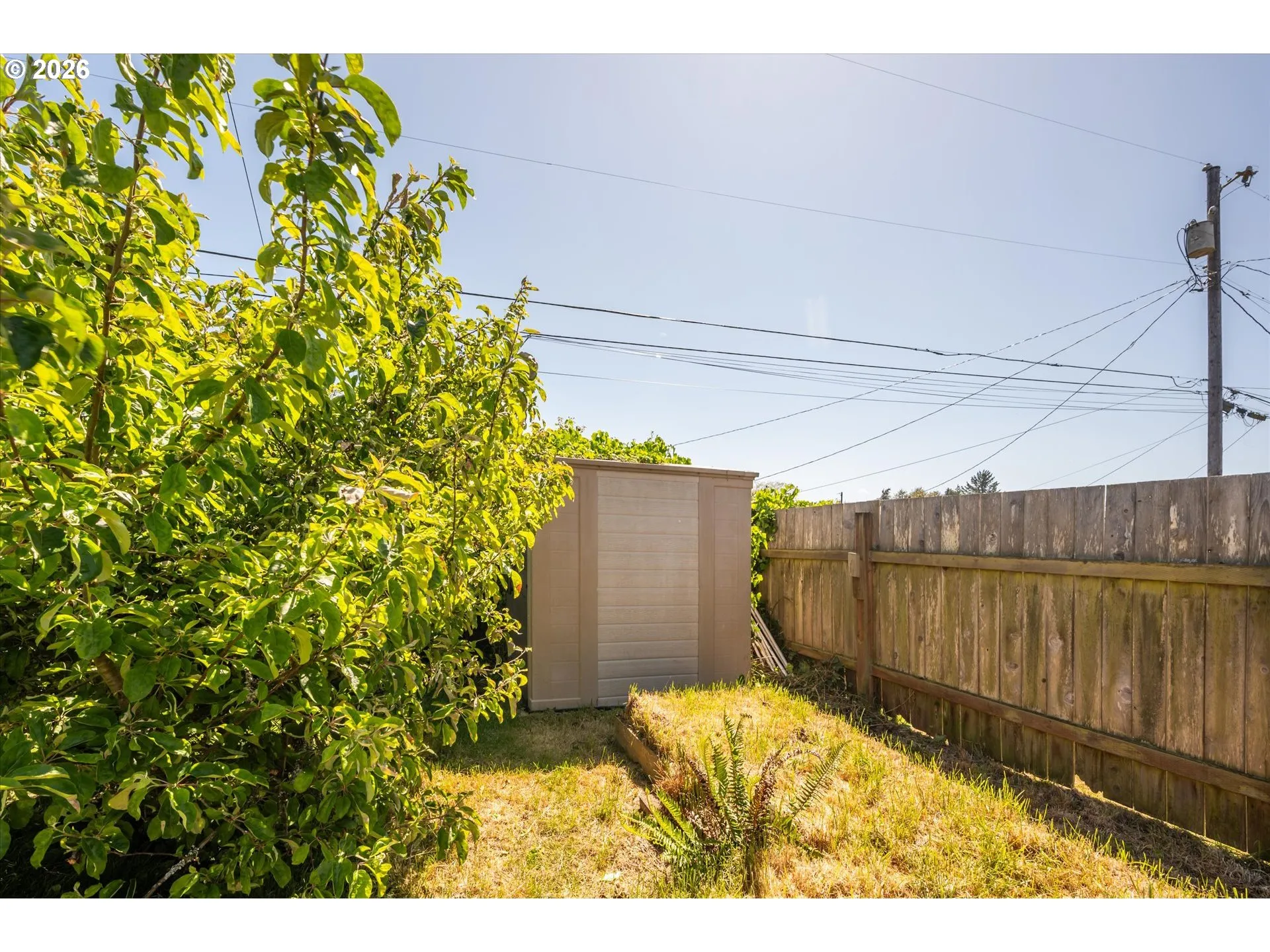 Shed-# 1