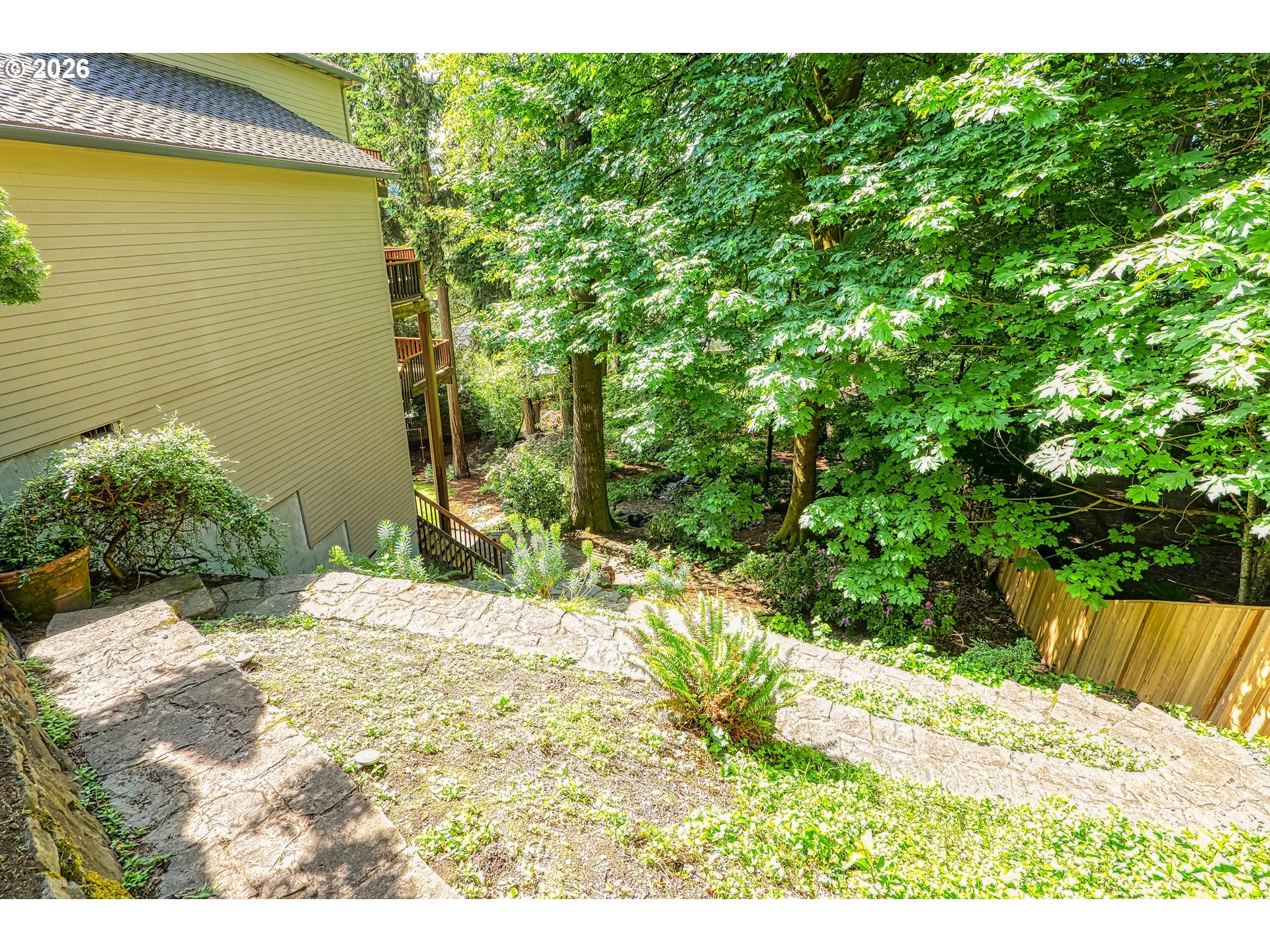 Backyard-Fenced