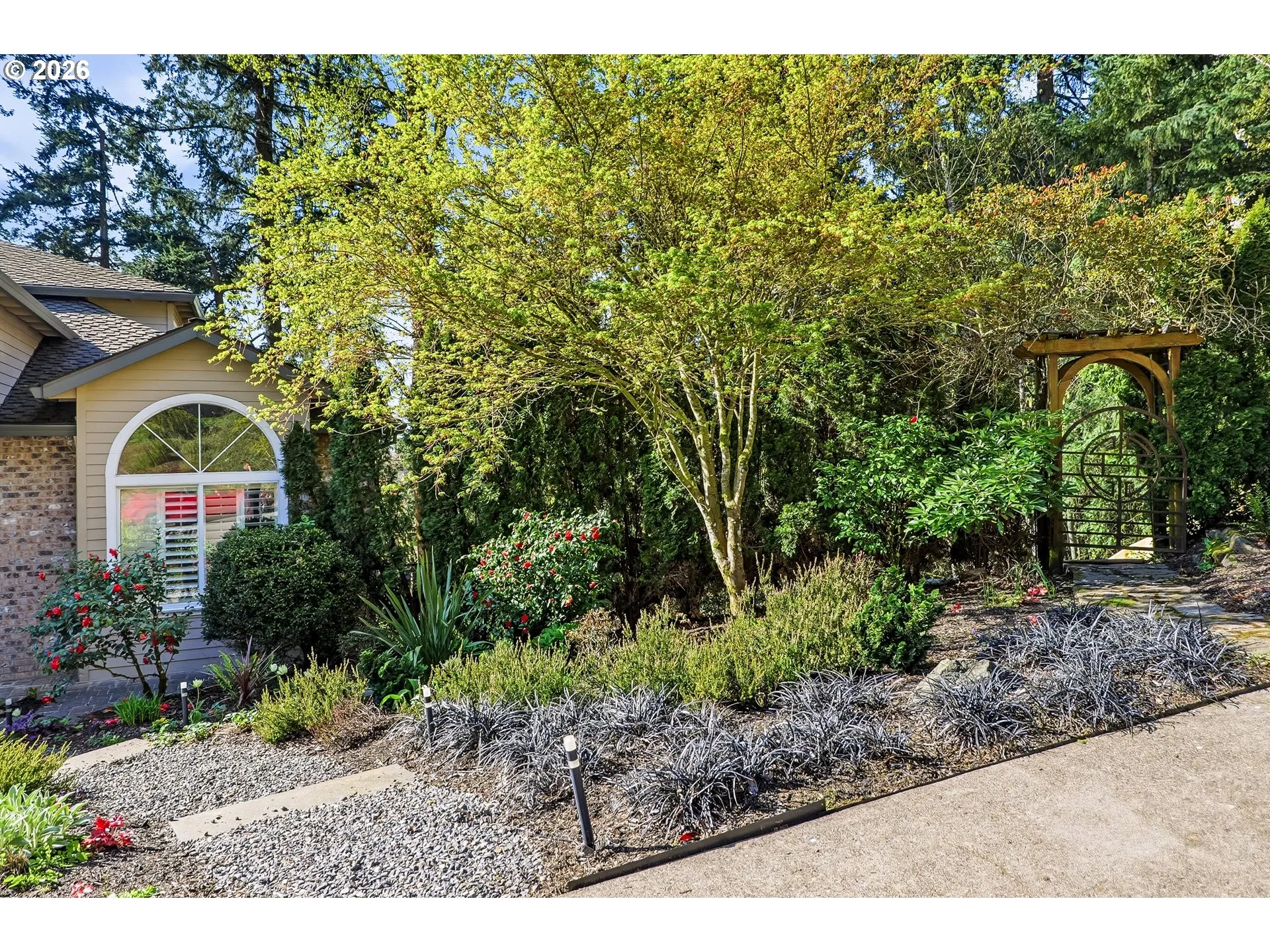 Front Yard