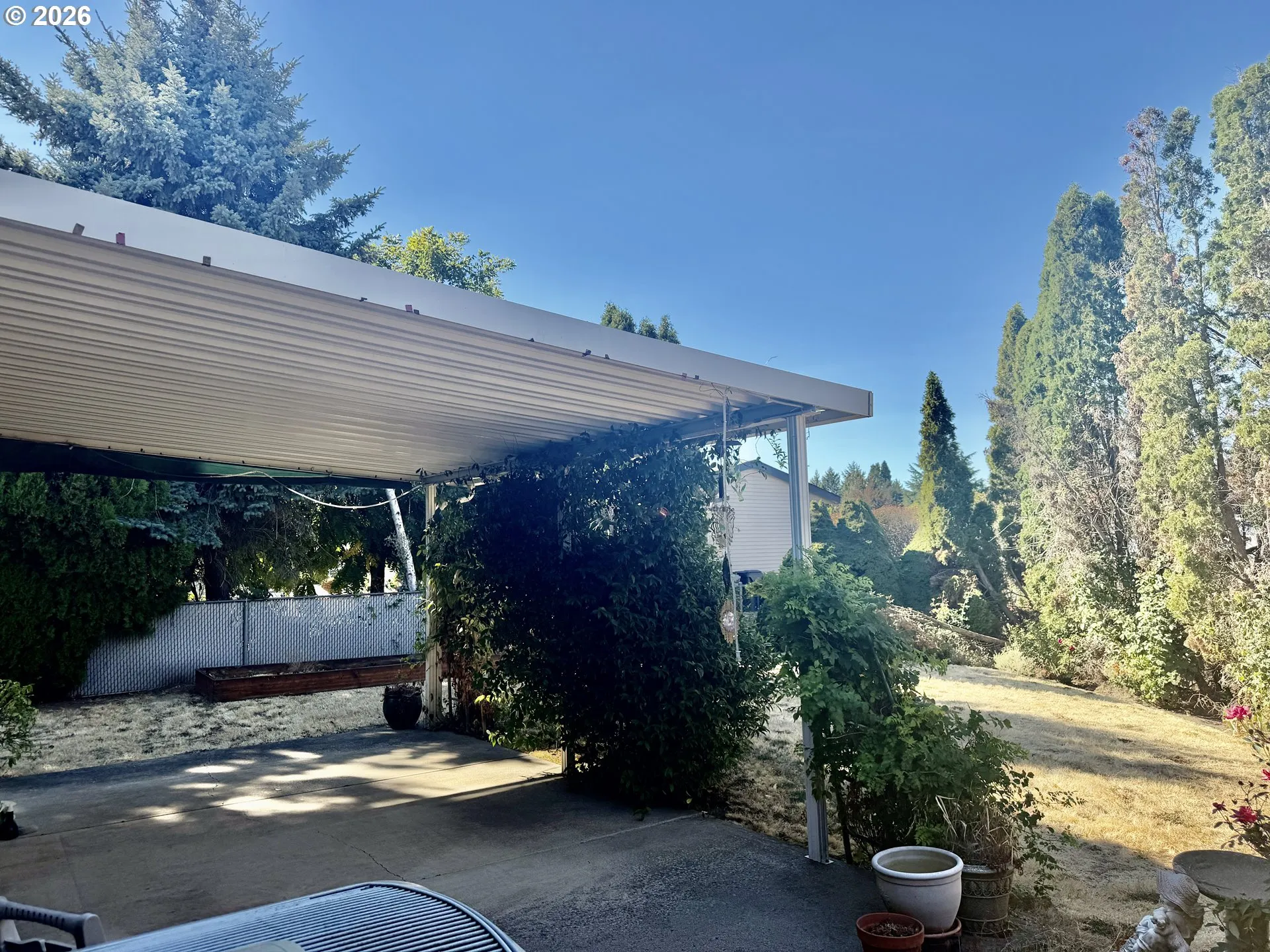 Backyard