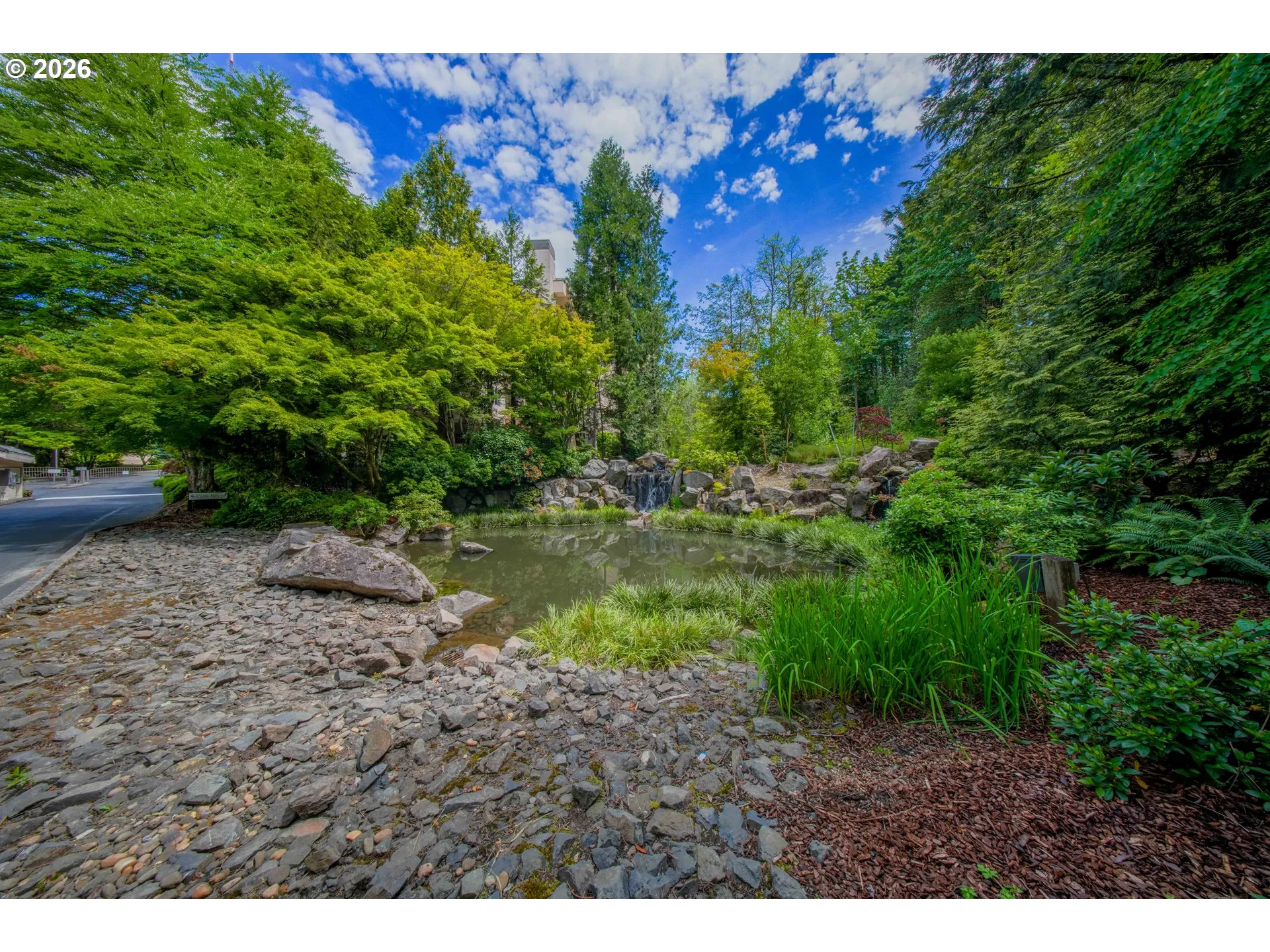 Water Feature