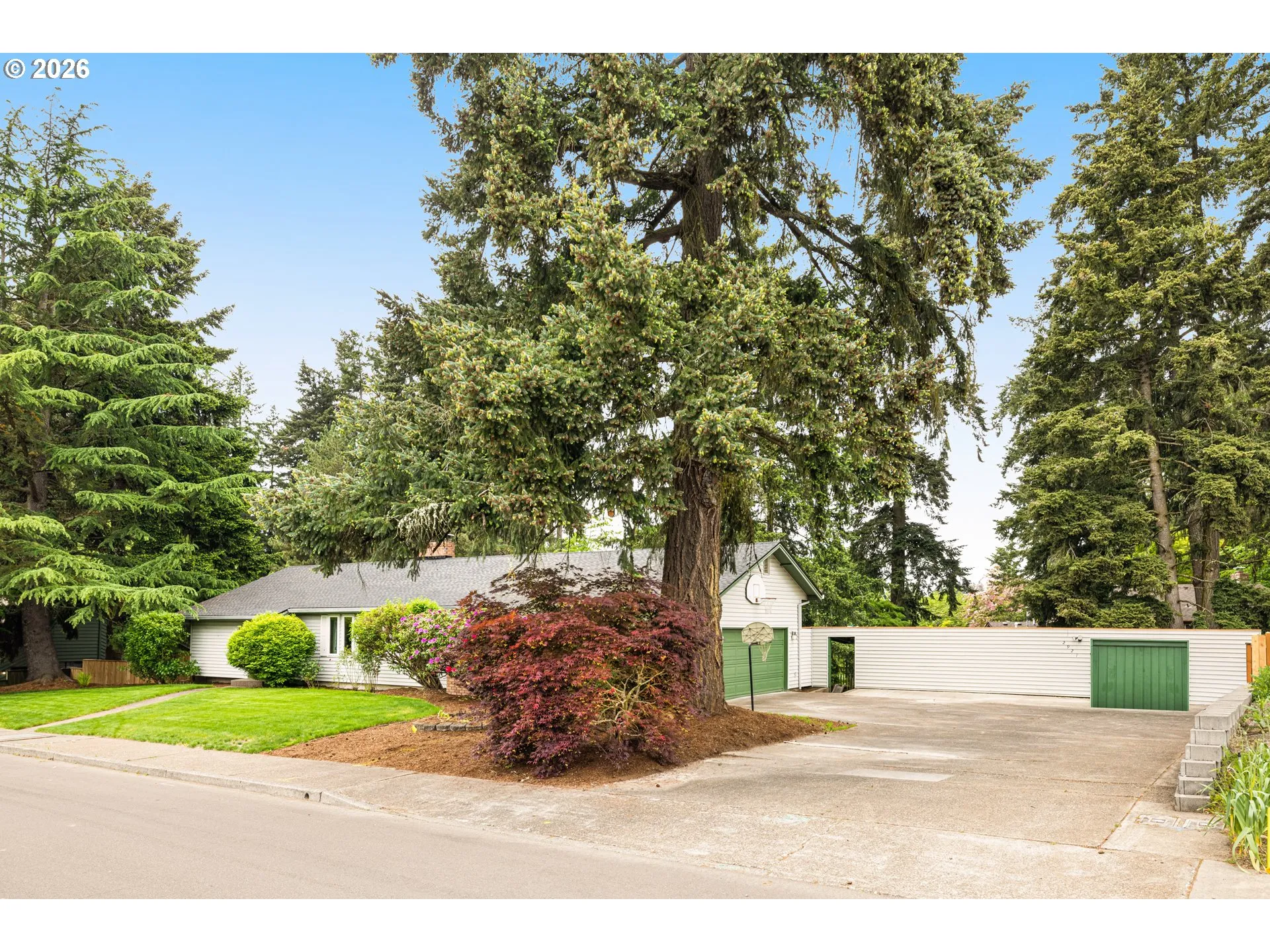 Front Yard