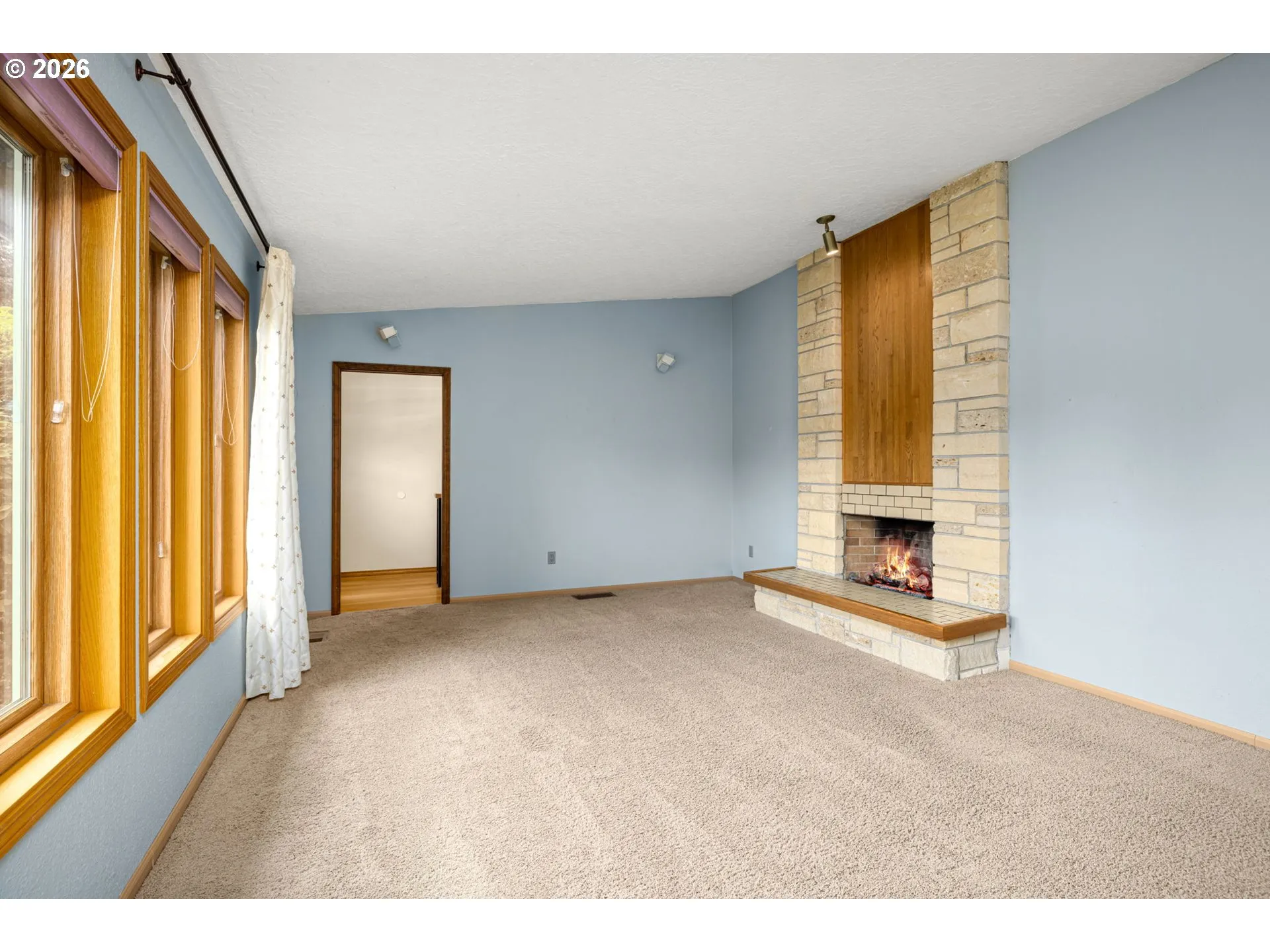 Living Room-Fireplace