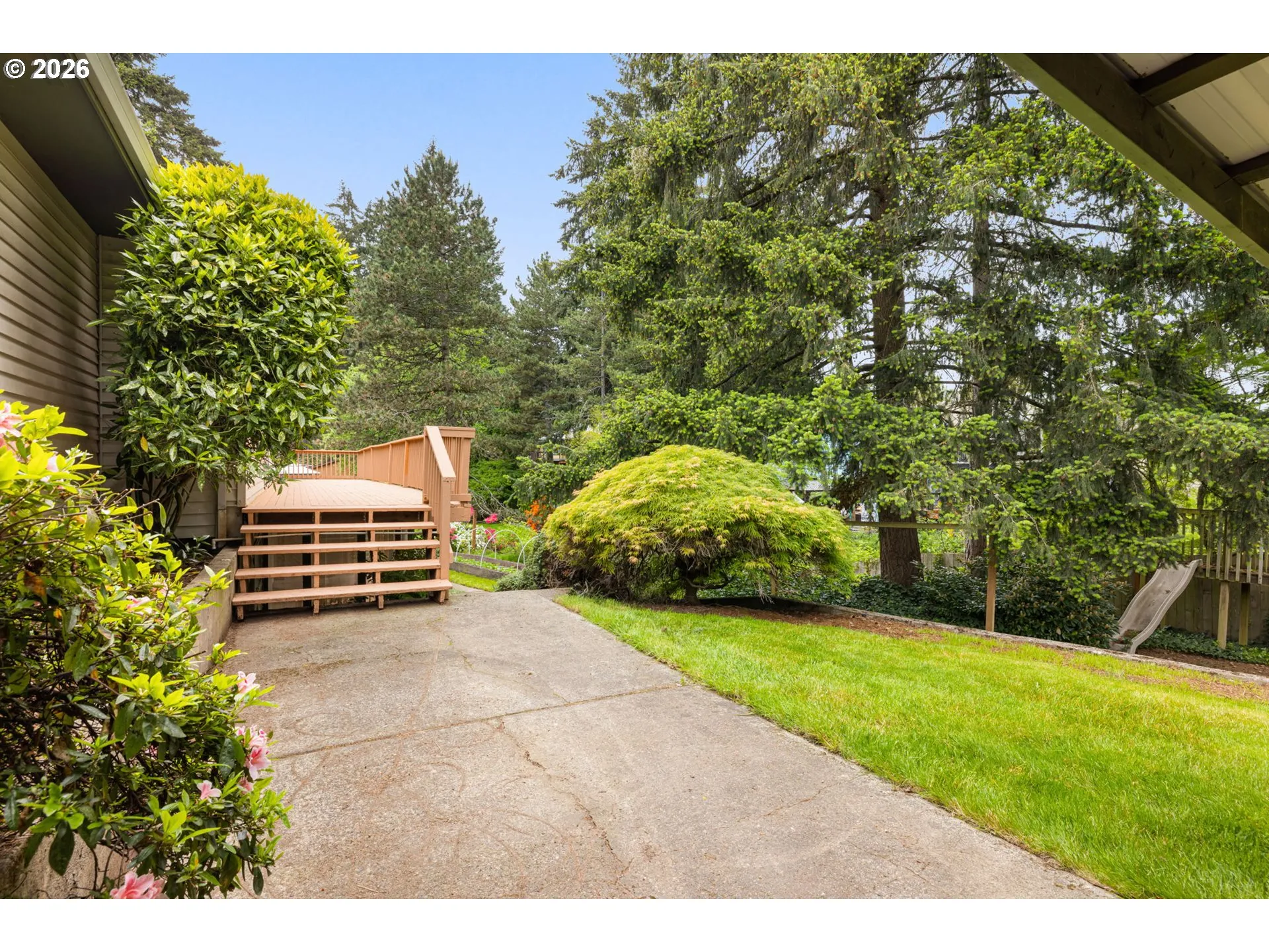 Backyard