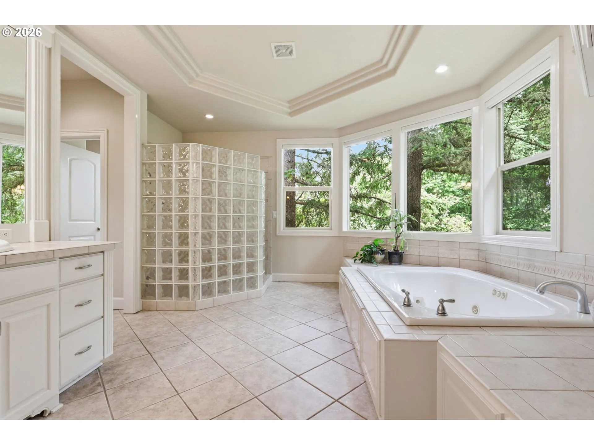 Owner's Suite Bathroom-Walk in Shower