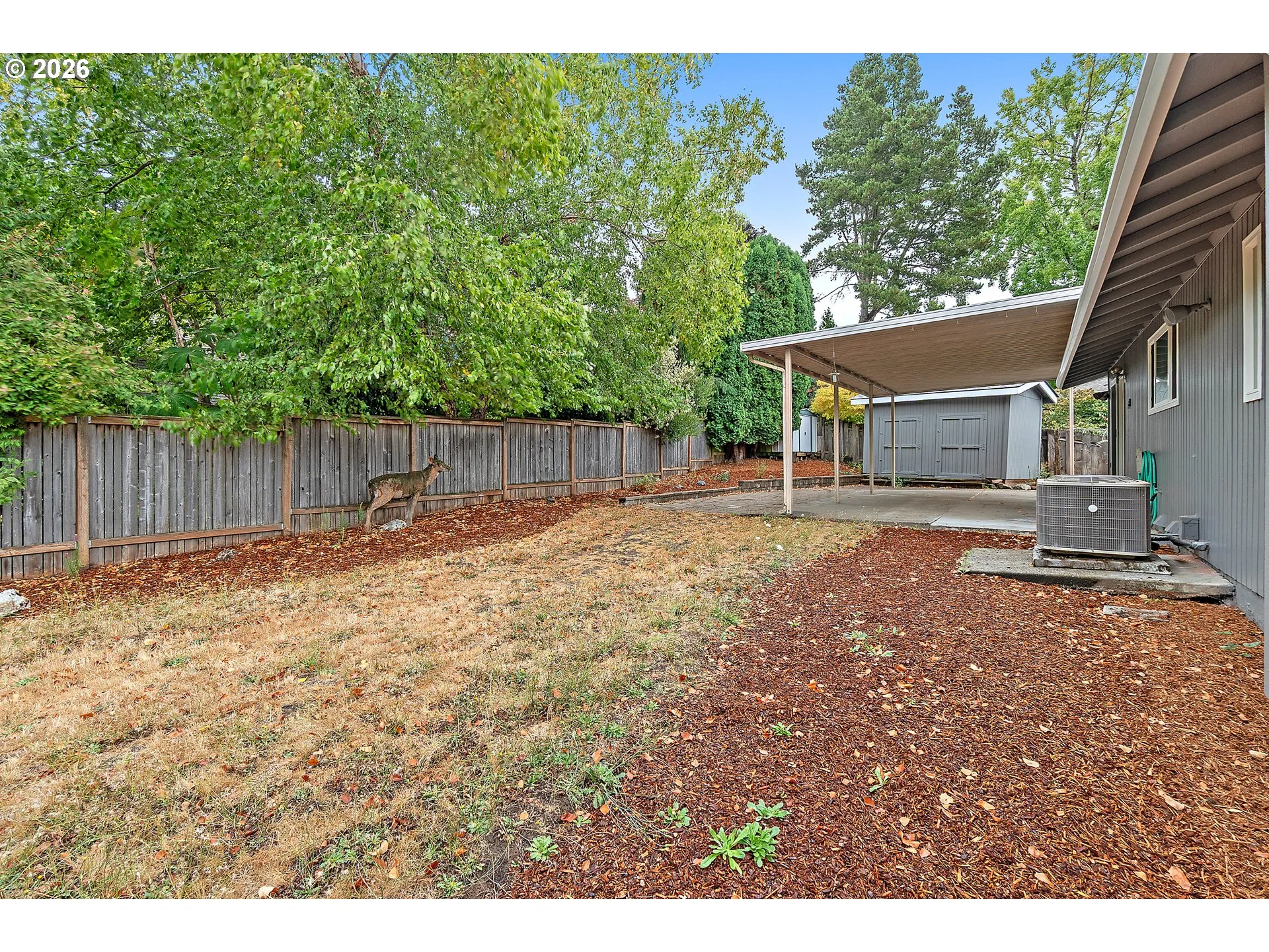 Backyard