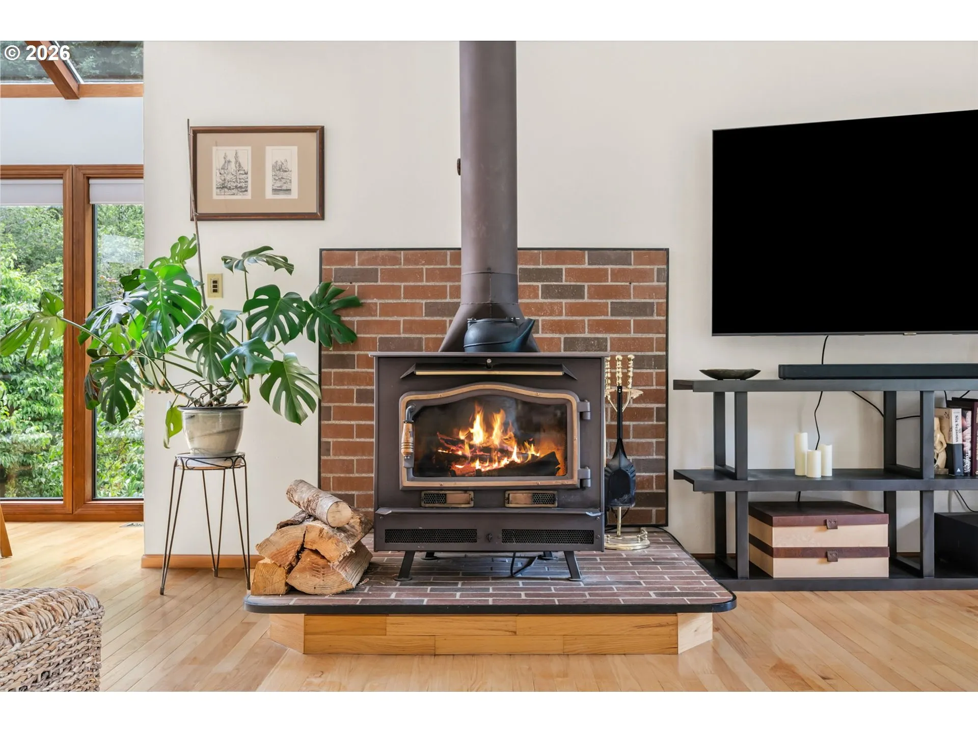 Fireplace Gas Burning Stove/Insert