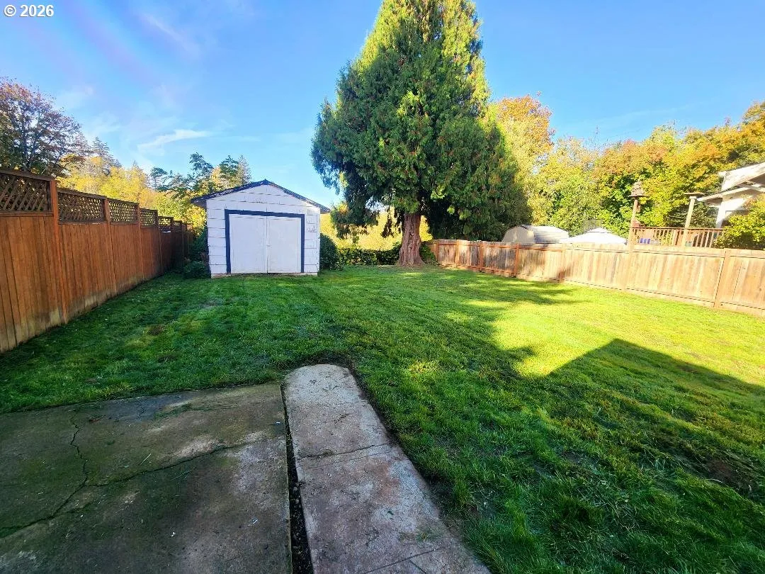 Shed