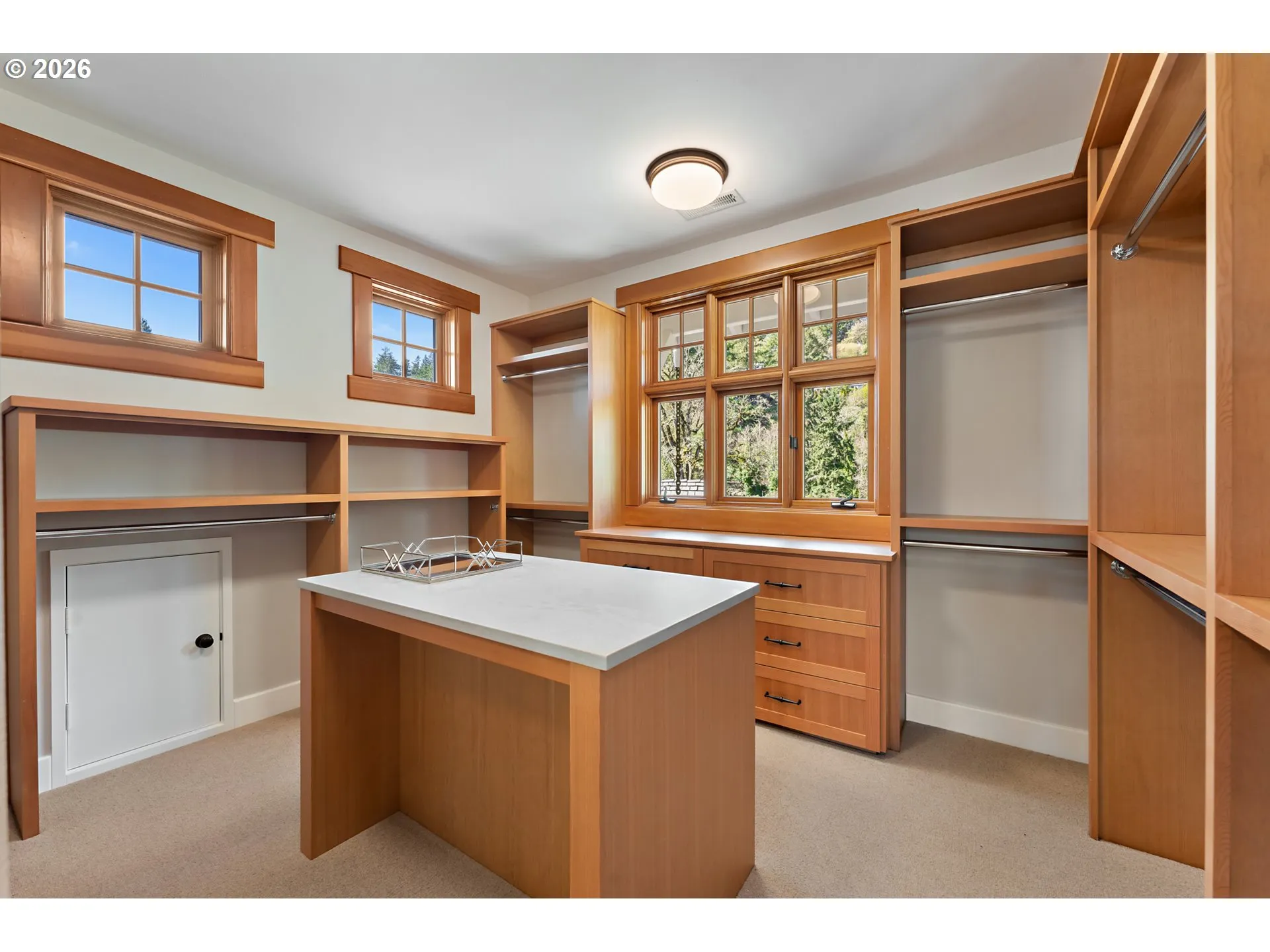 Primary Bedroom-Walk-In Closet