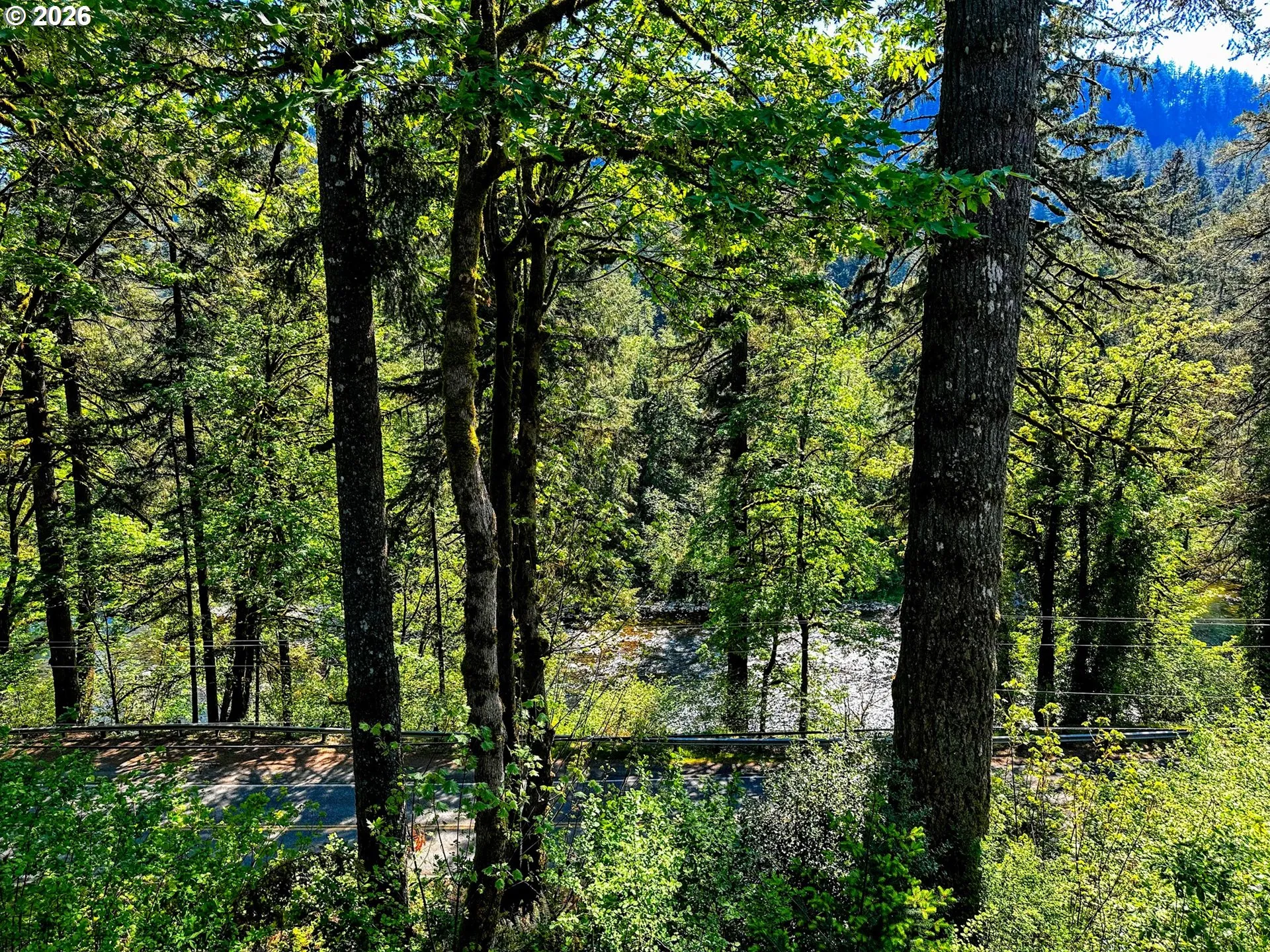 View-River