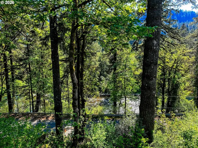 View-River