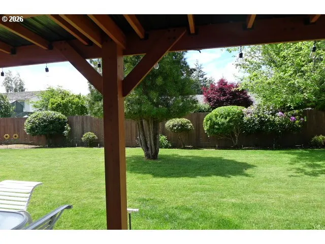 Backyard-View From