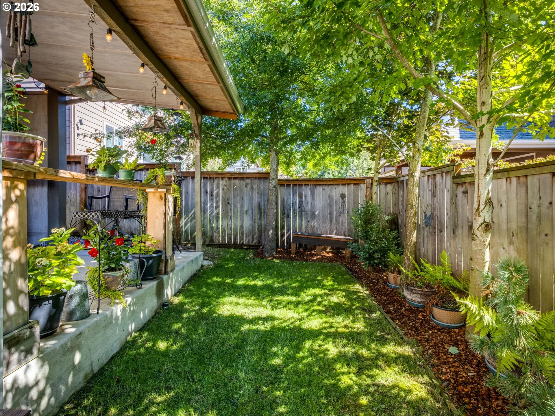 Backyard-Fenced