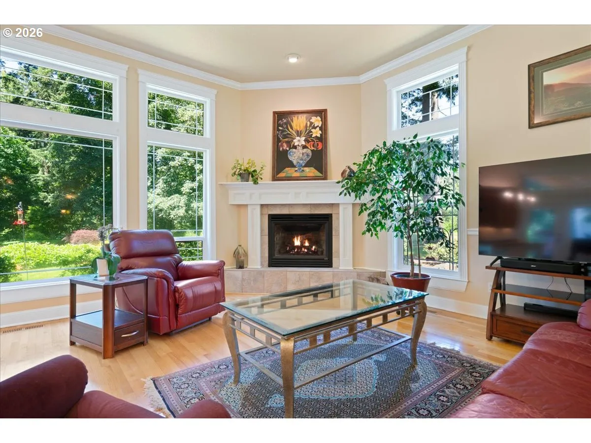 Family Room-Ceiling Fan