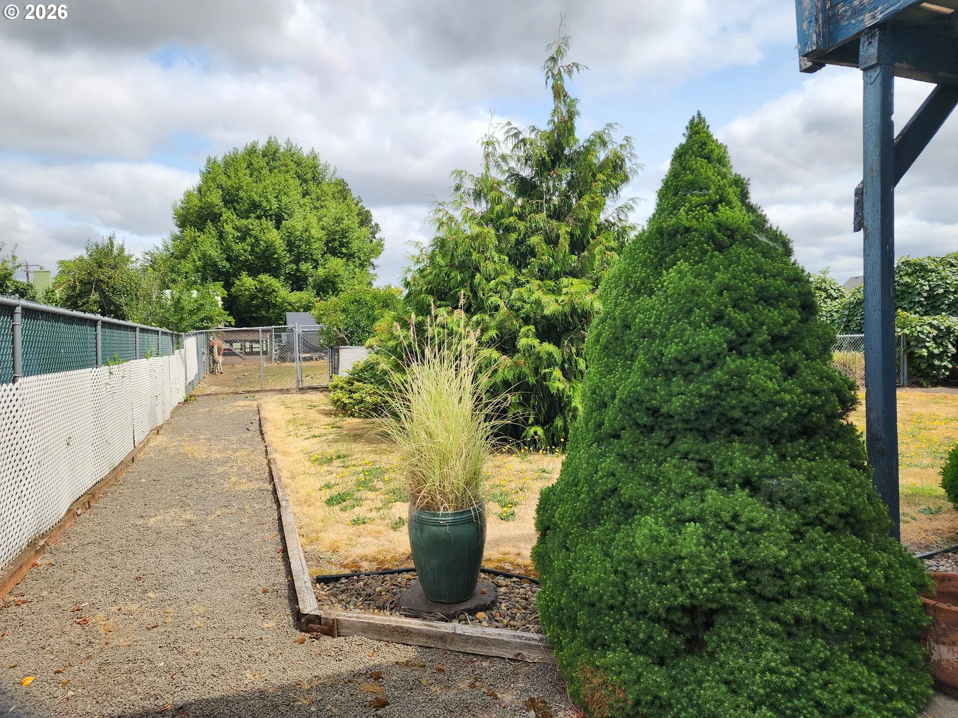 Backyard-Fenced