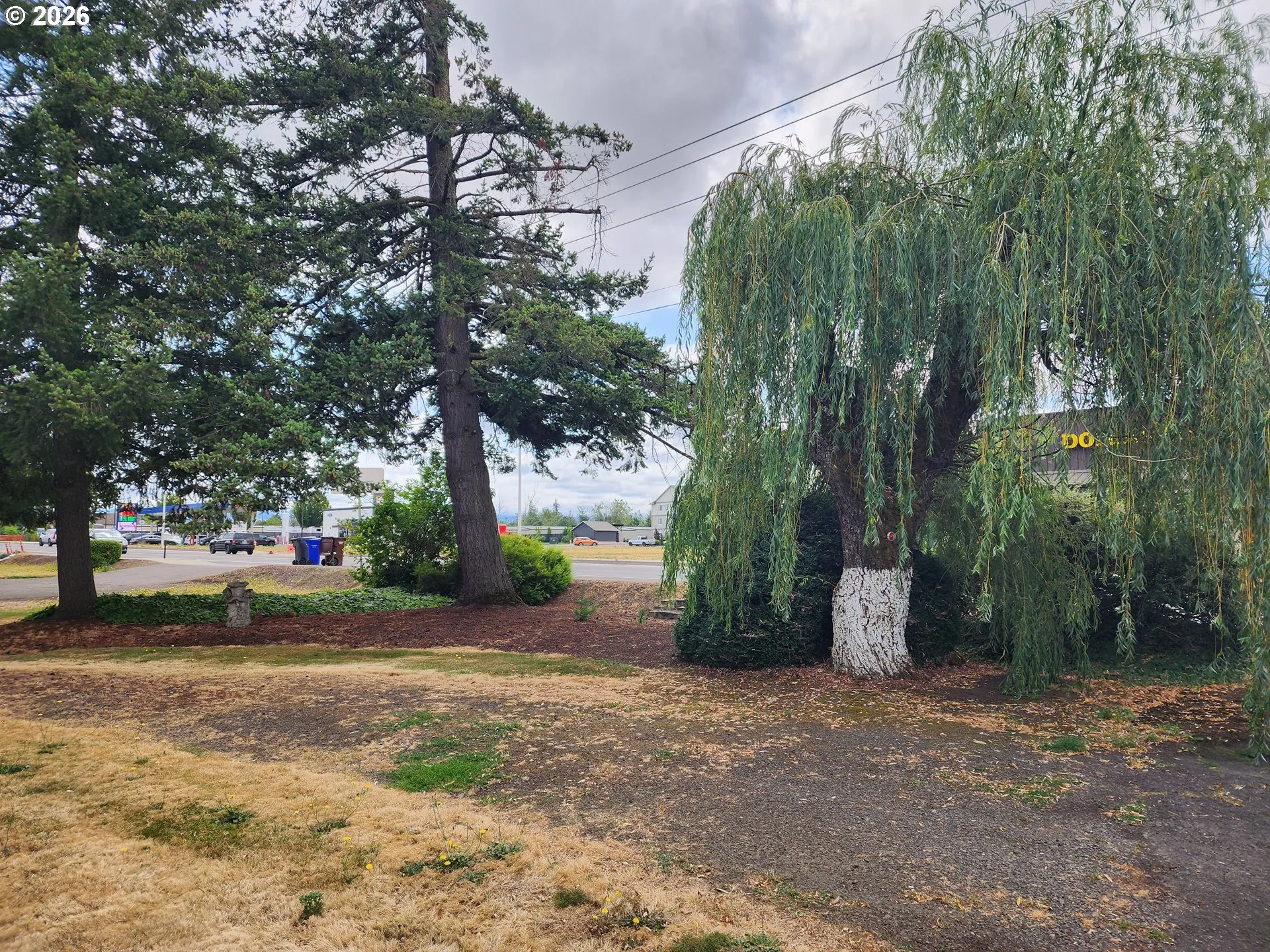 Front Yard-View From