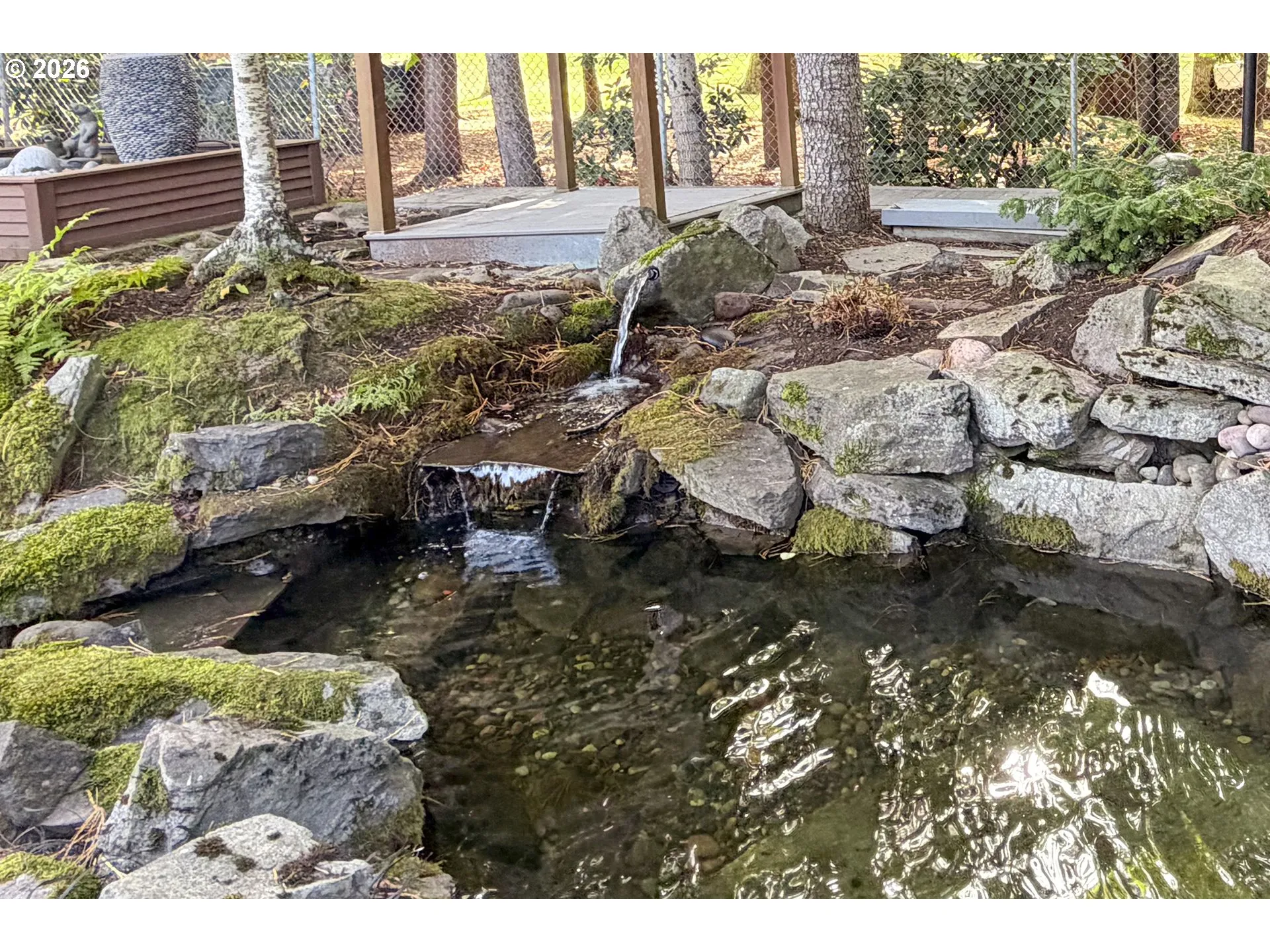 Pond