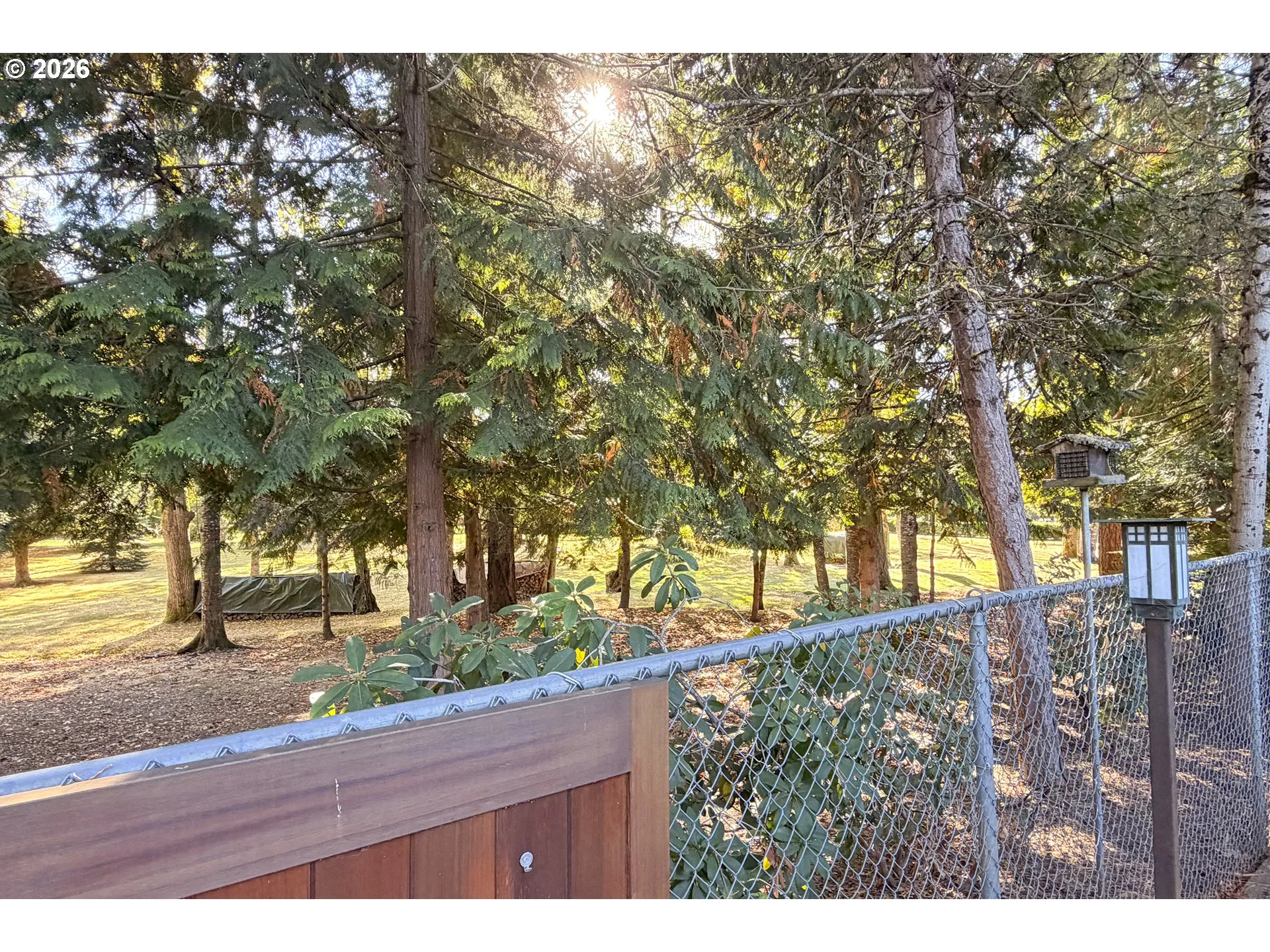 Green Space-Back
