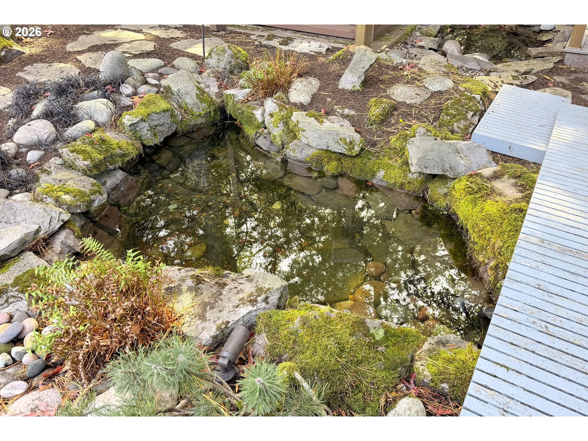 Pond
