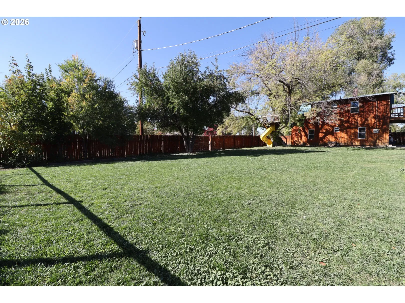 Backyard-Fenced