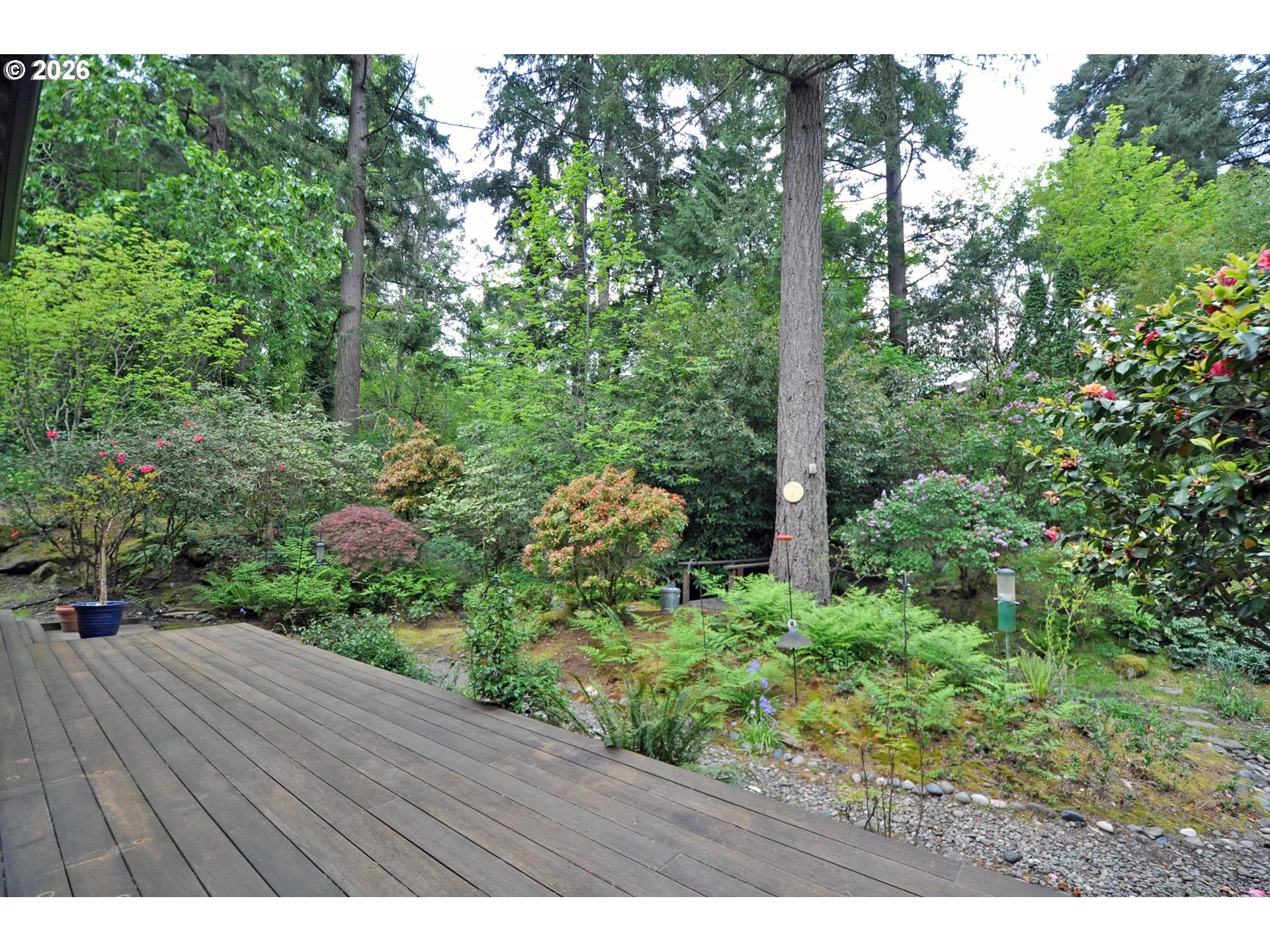 Deck-Main