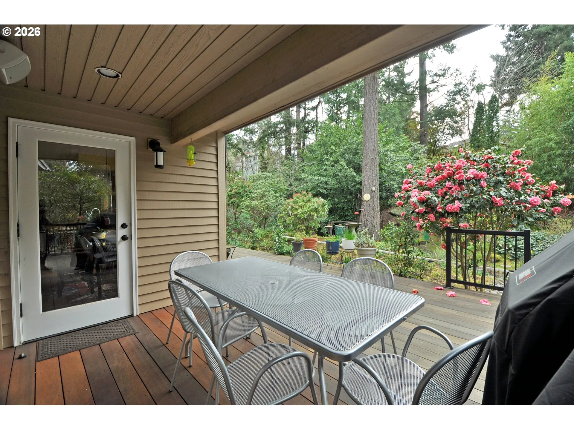 Deck-Main
