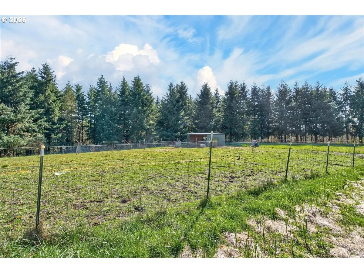 Backyard-Fenced