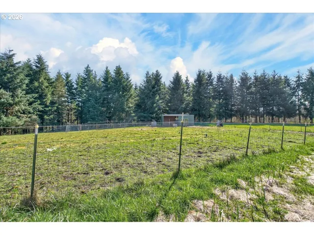 Backyard-Fenced