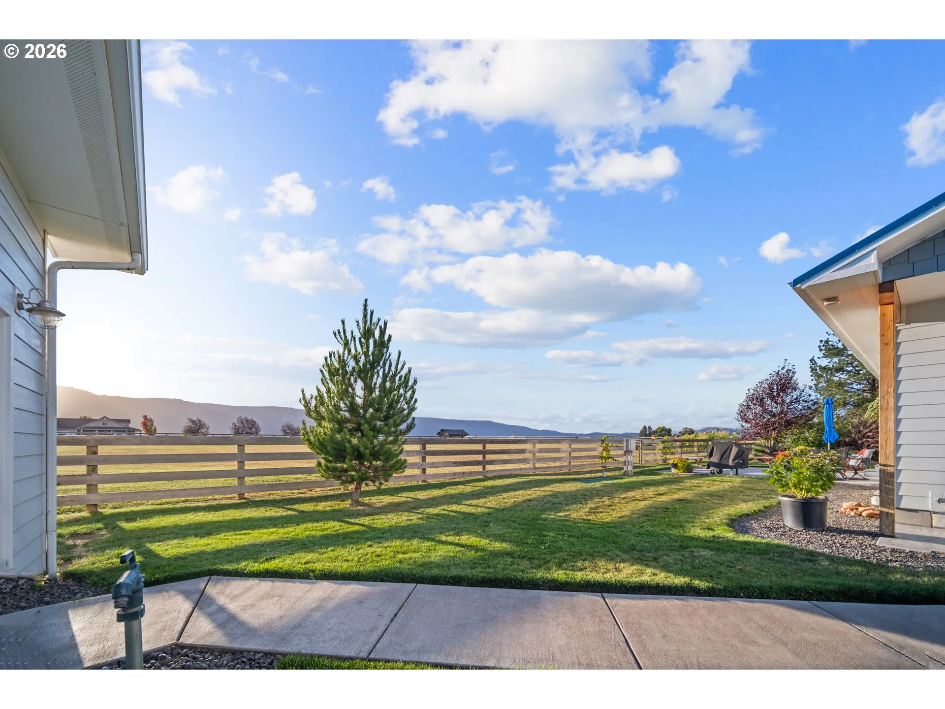 Backyard-View From