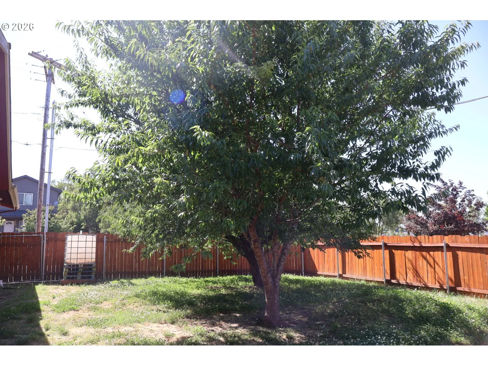 Yard-Fenced