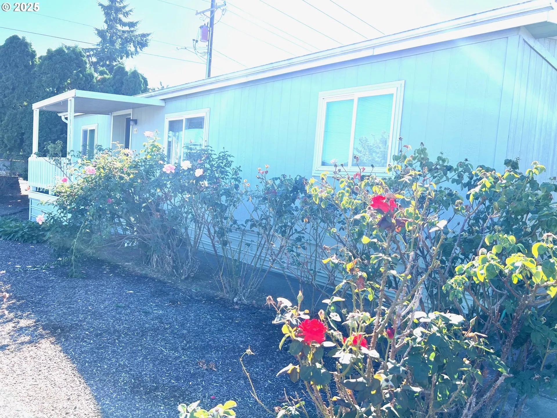 Front Yard