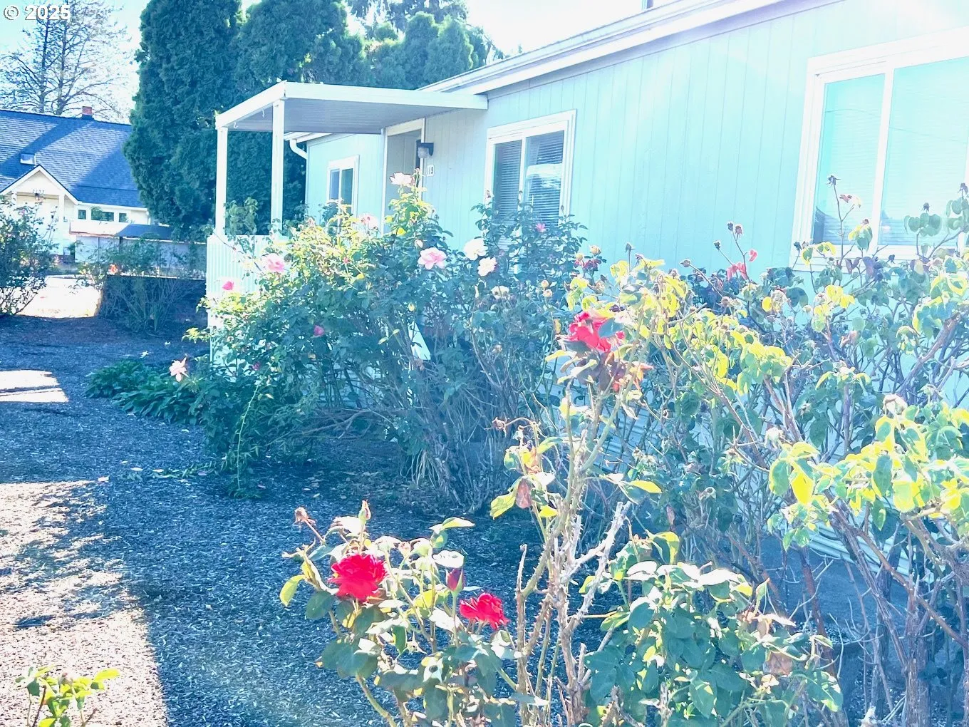 Front Yard