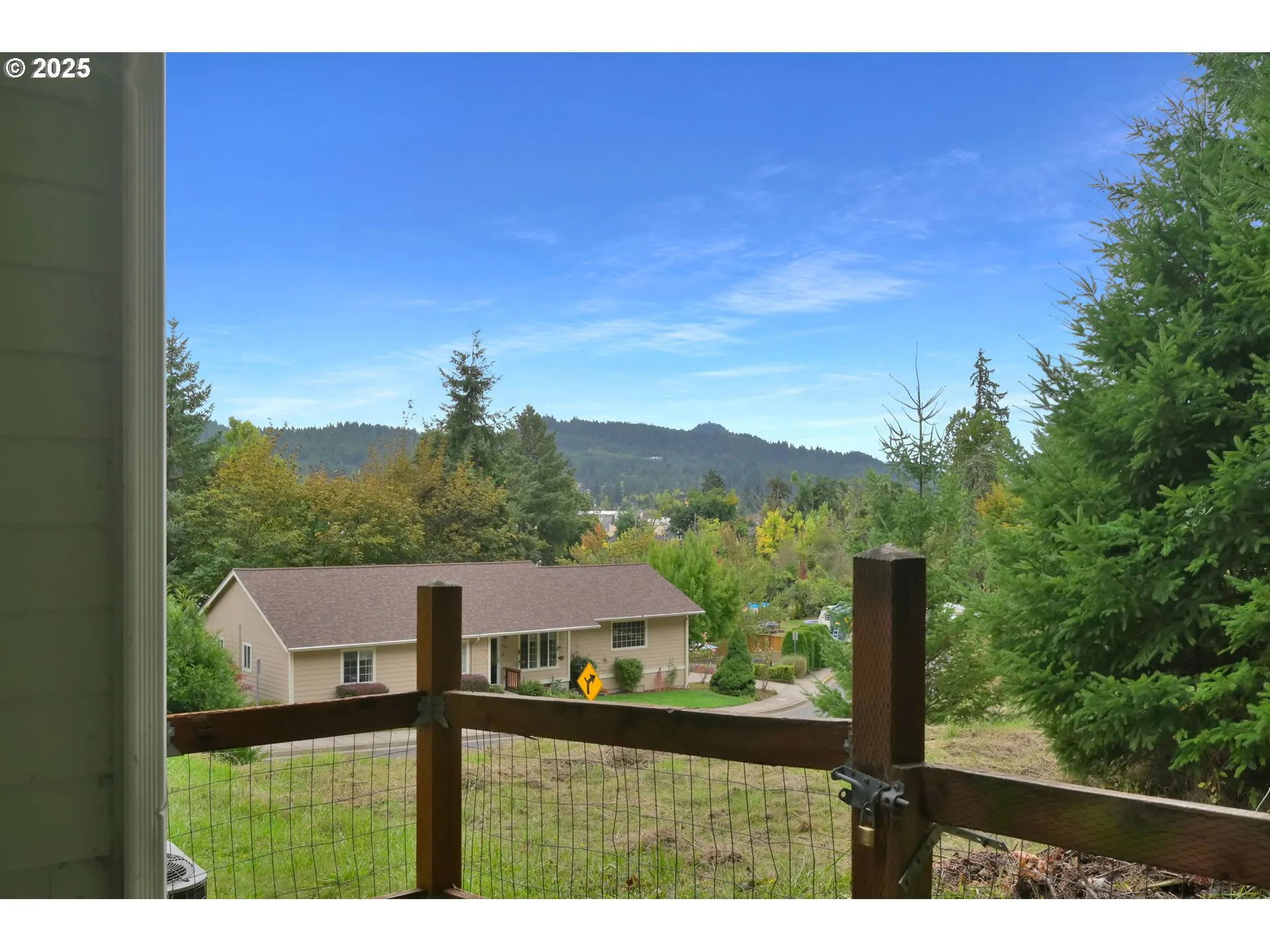 Backyard-View From