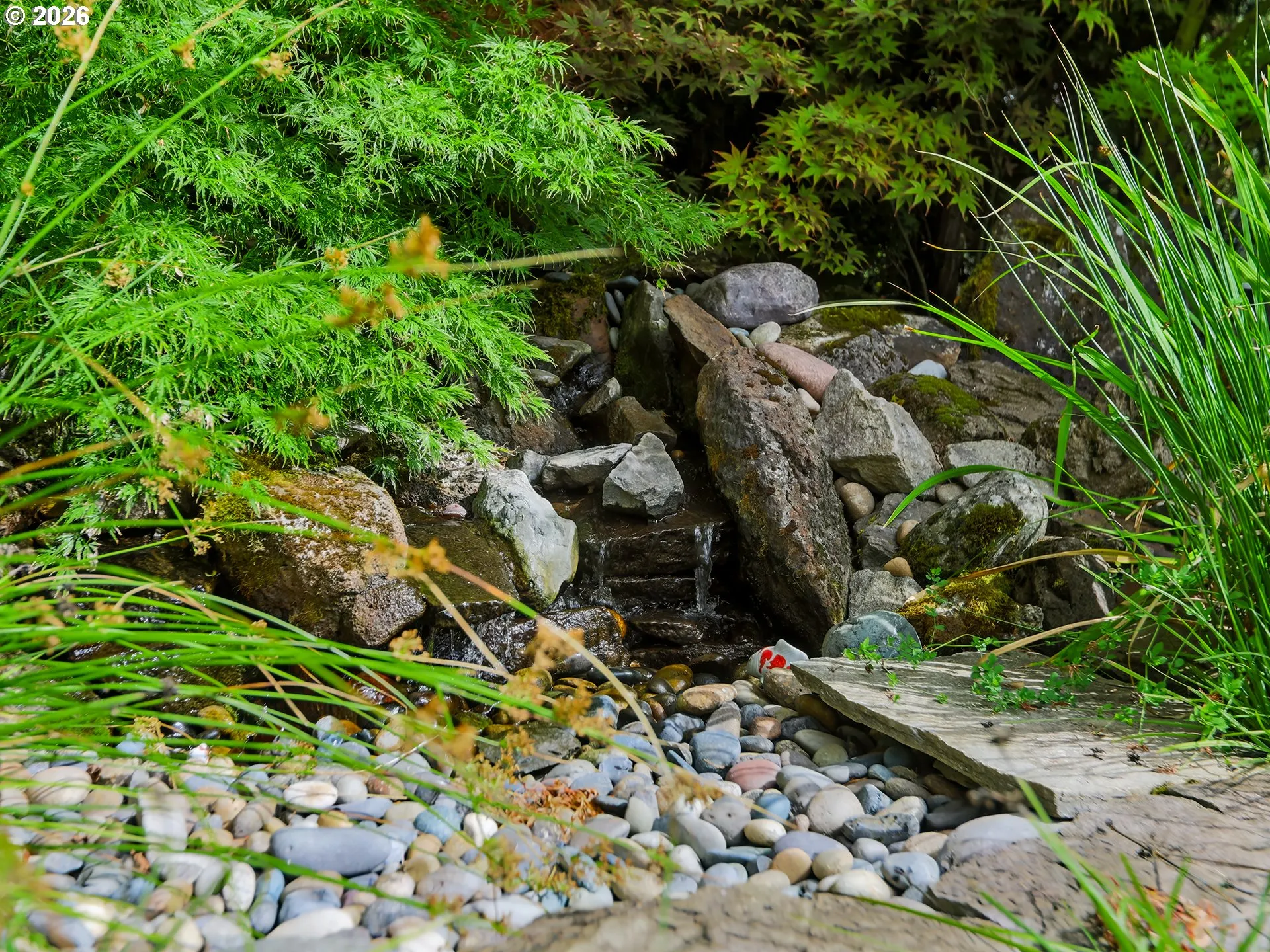 Water Feature
