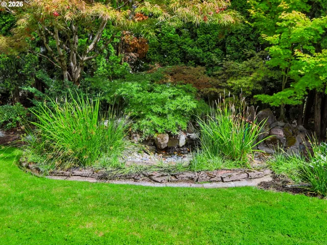 Water Feature