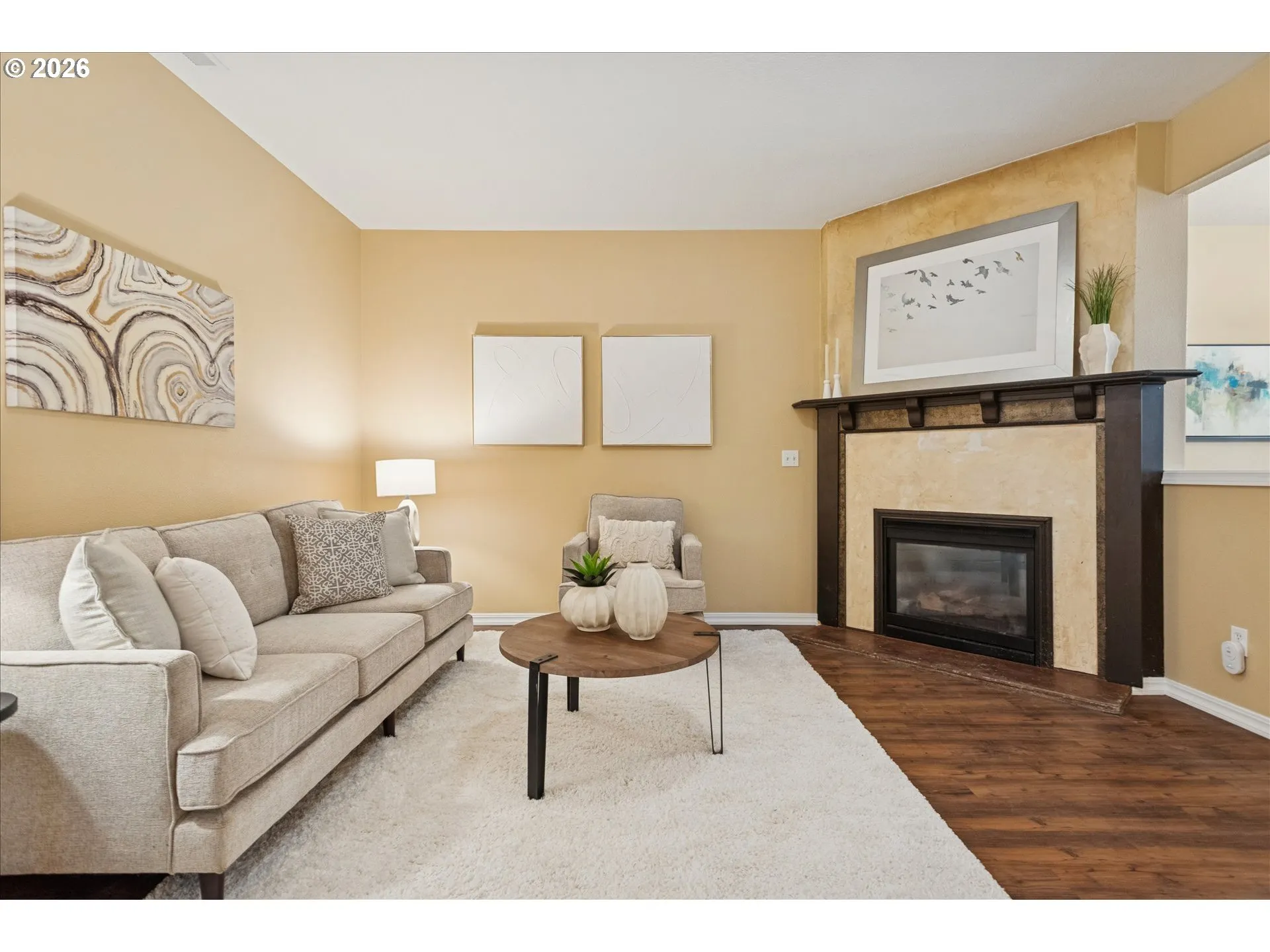 Fireplace Gas