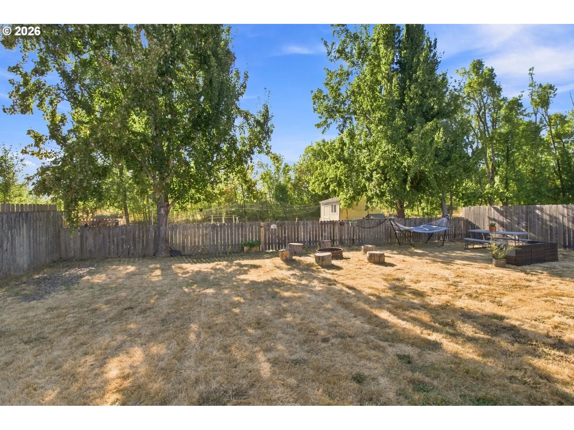 Backyard-View From