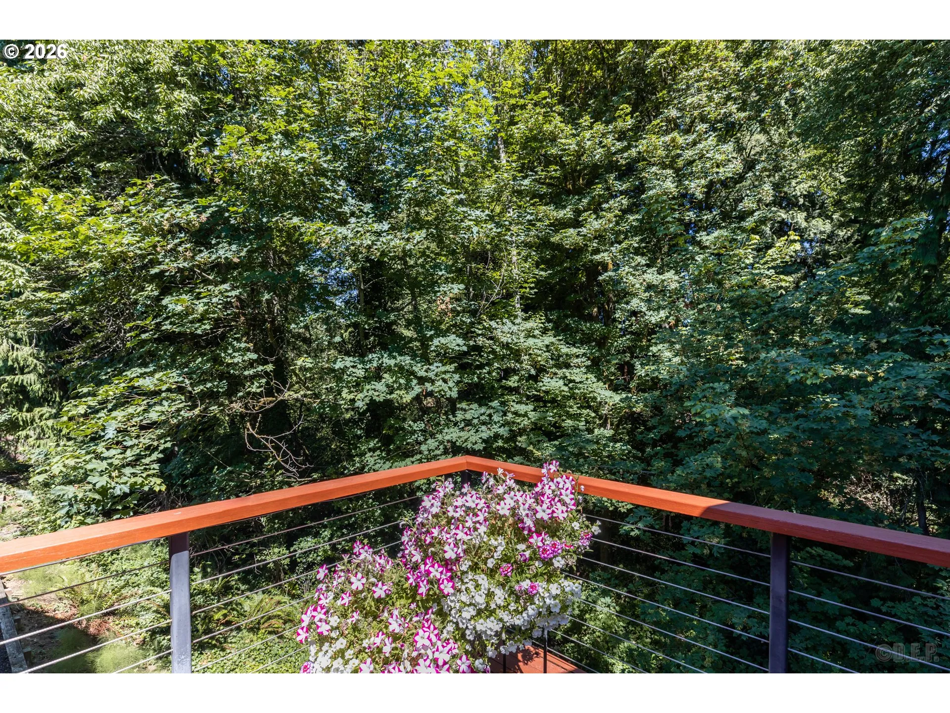 View-Deck
