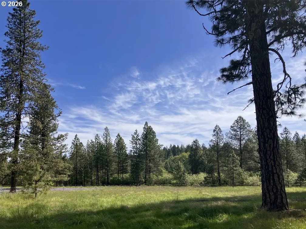 Pasture