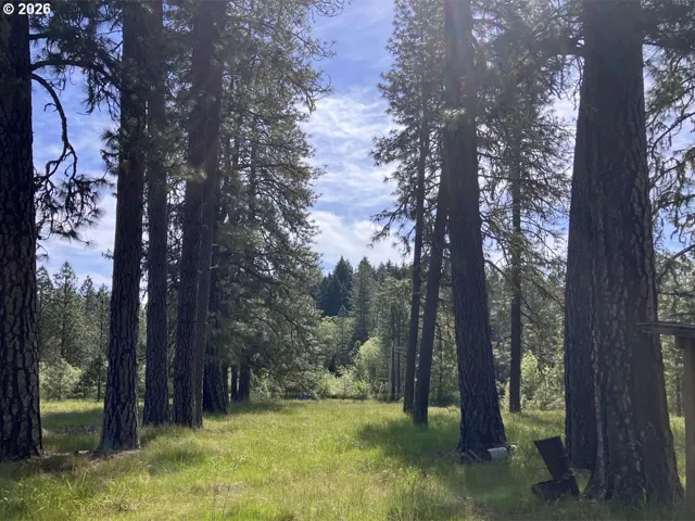 Pasture